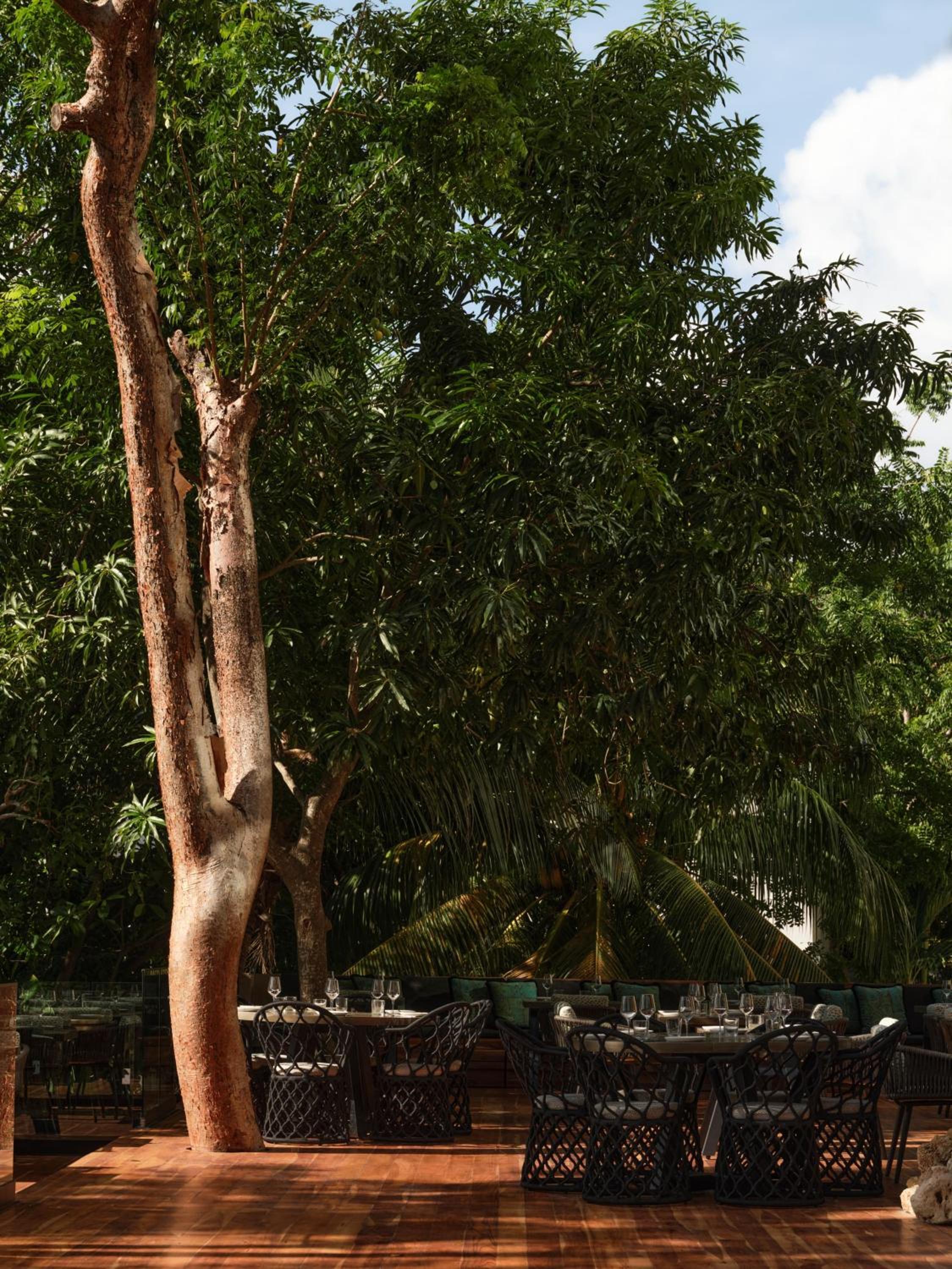 Kimpton - Grand Roatan Resort and Spa - Photo 220
