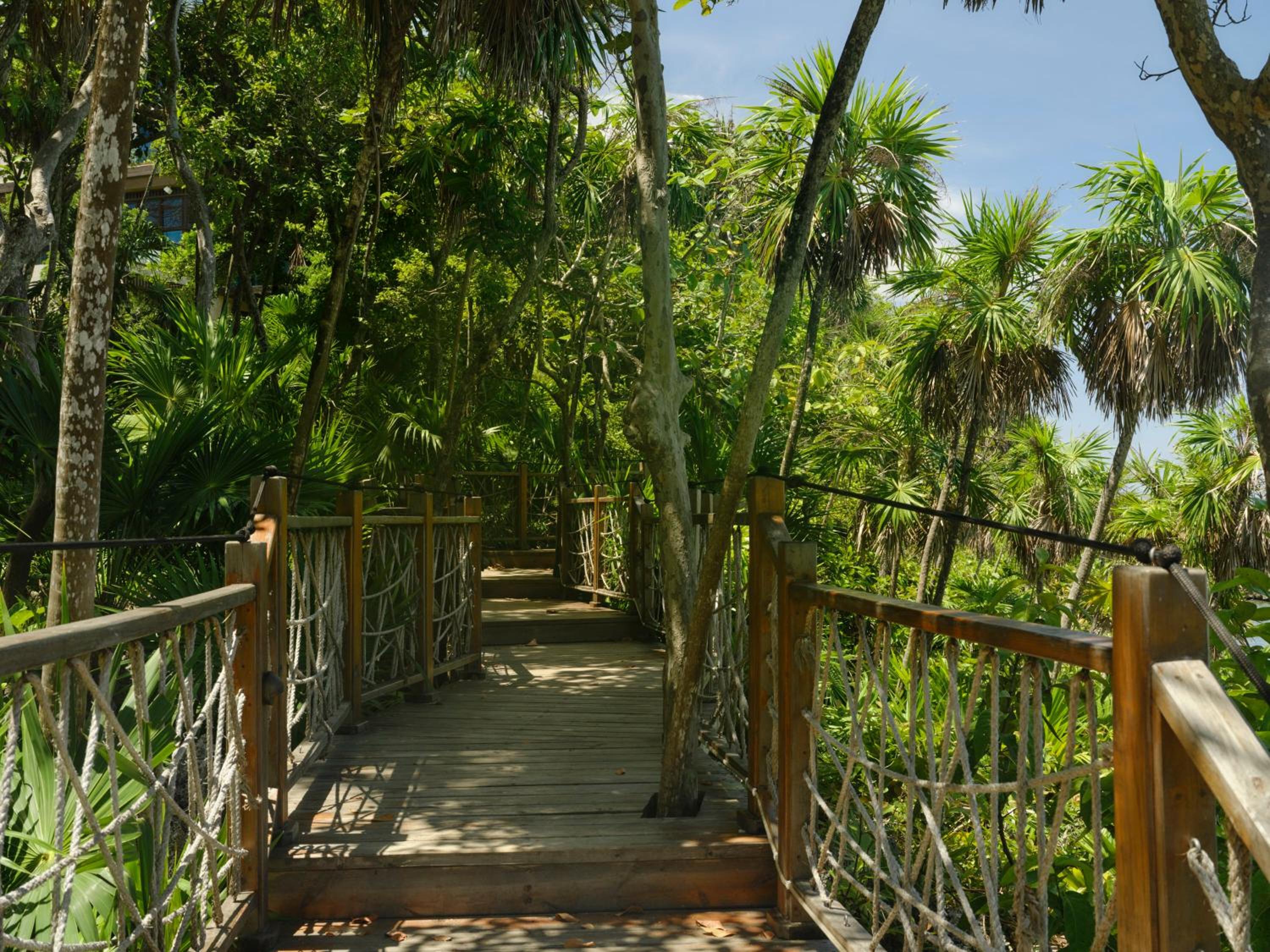 Kimpton - Grand Roatan Resort and Spa - Photo 104