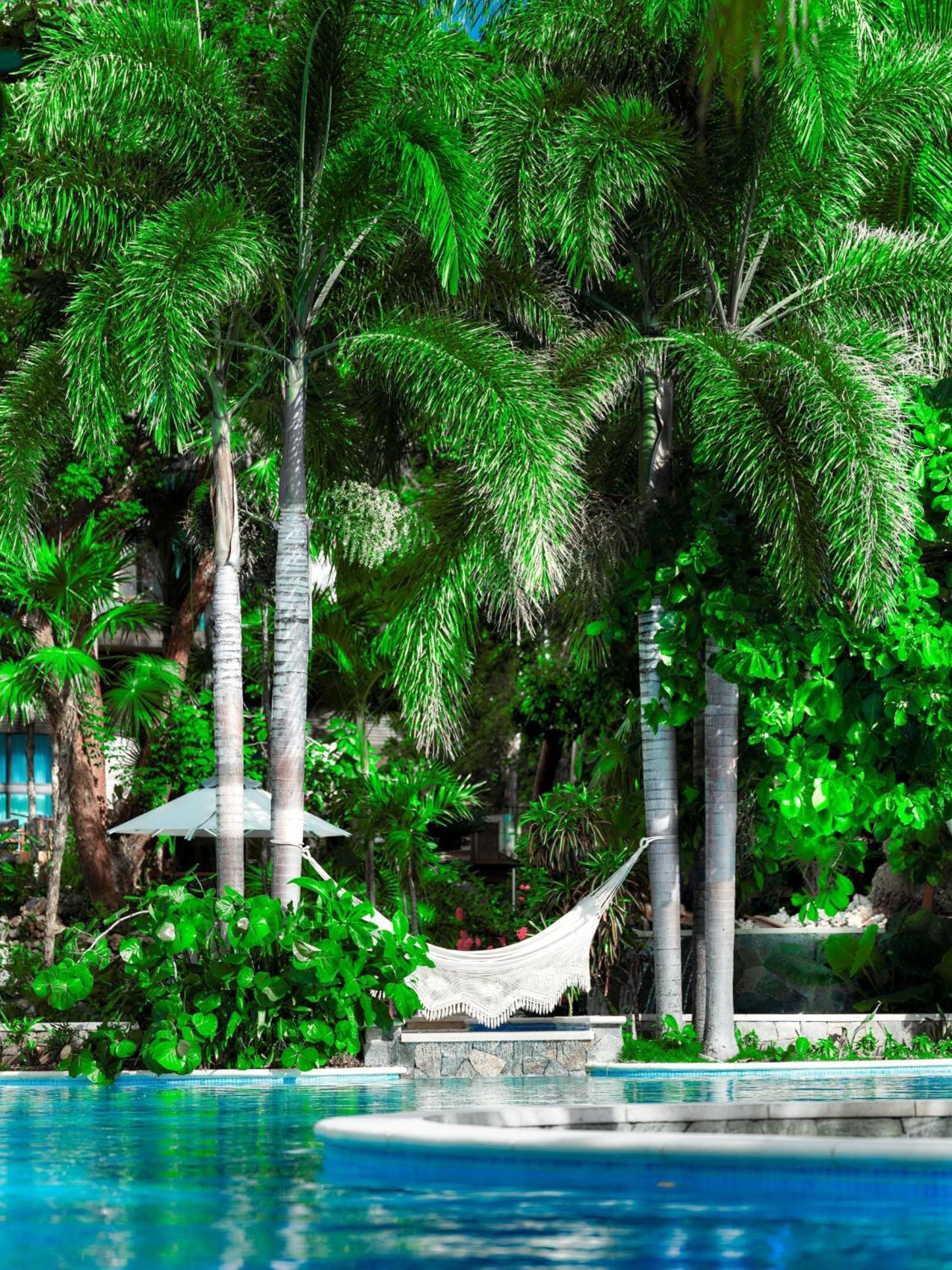 Kimpton - Grand Roatan Resort and Spa - Photo 205