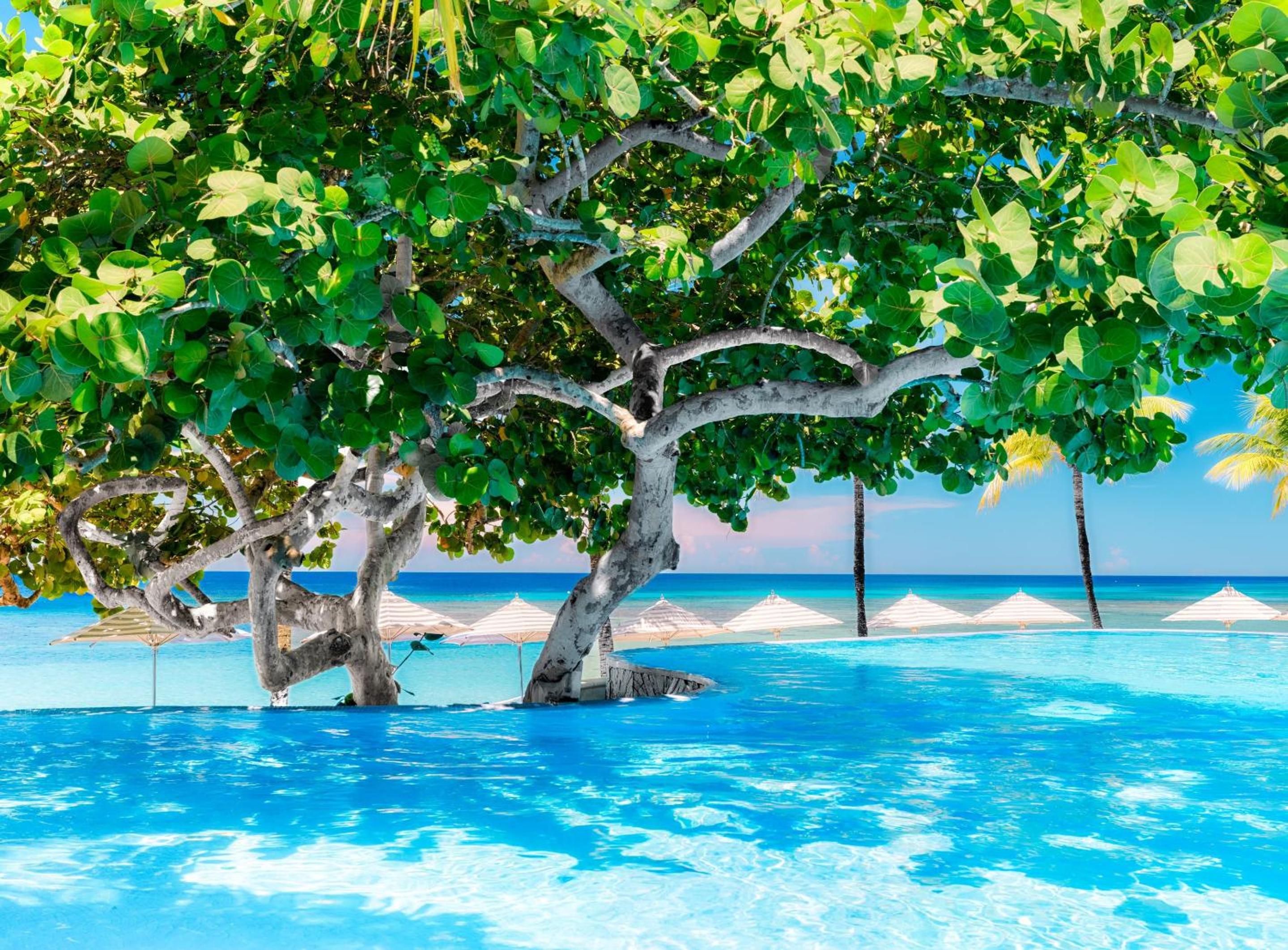 Kimpton - Grand Roatan Resort and Spa - Photo 215