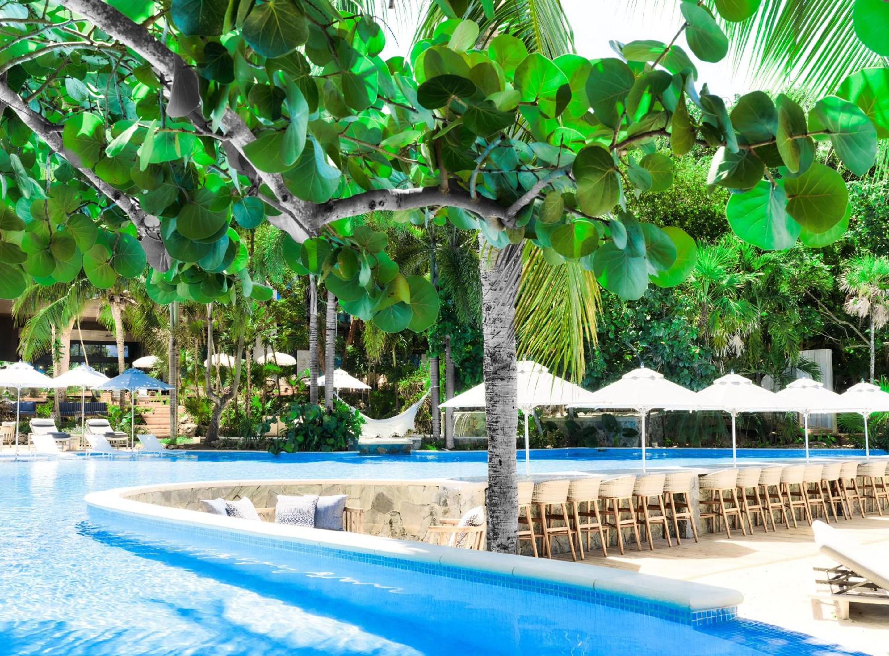 Kimpton - Grand Roatan Resort and Spa - Photo 207