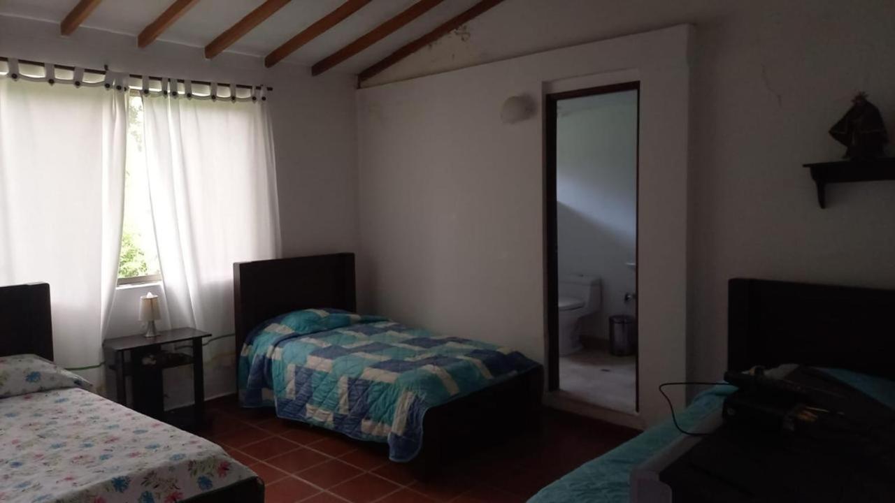 La palmera