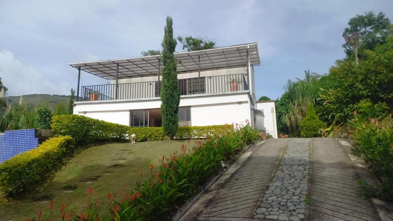 La palmera