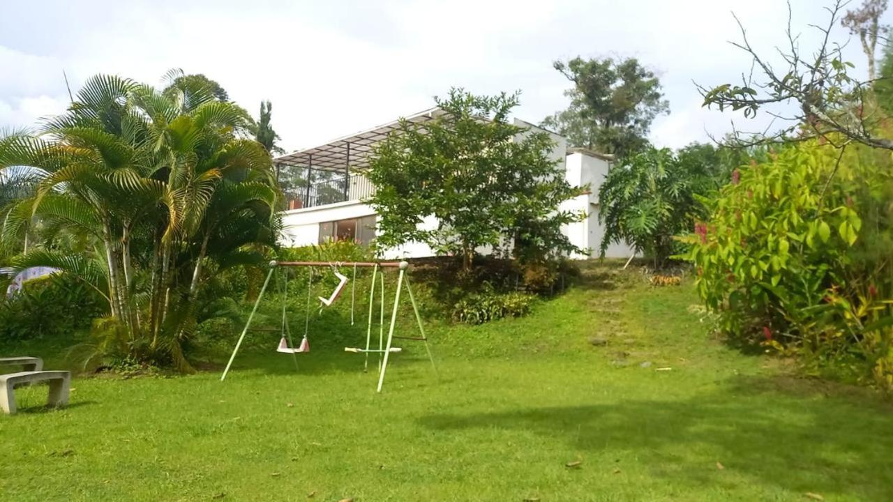 La palmera