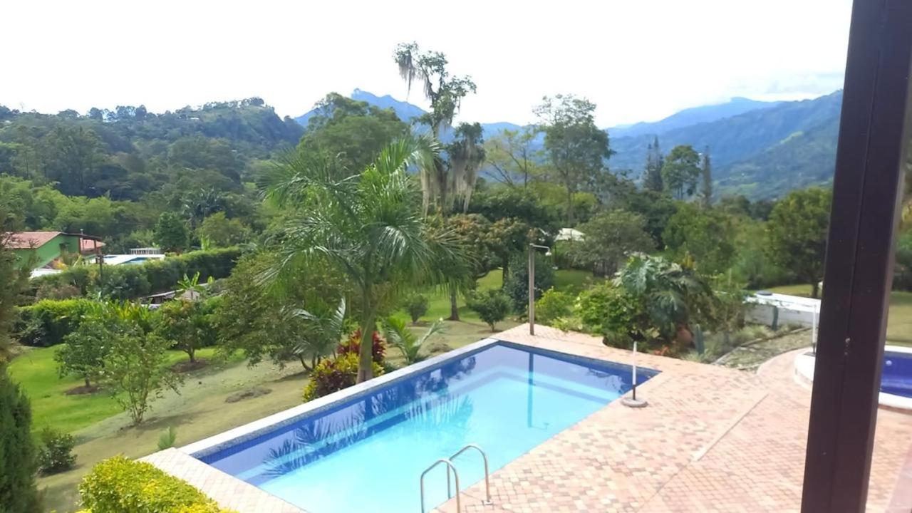 La palmera