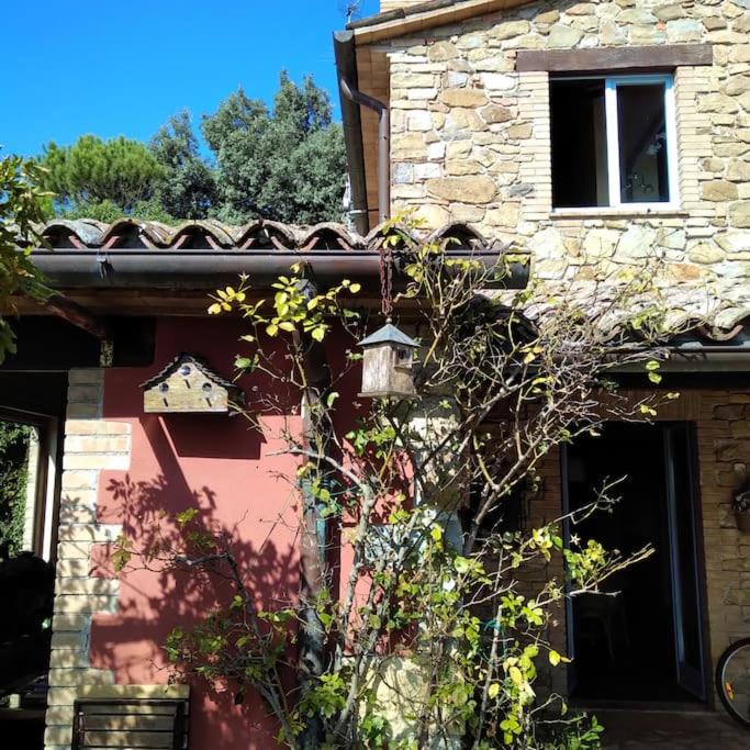 Photo 15
