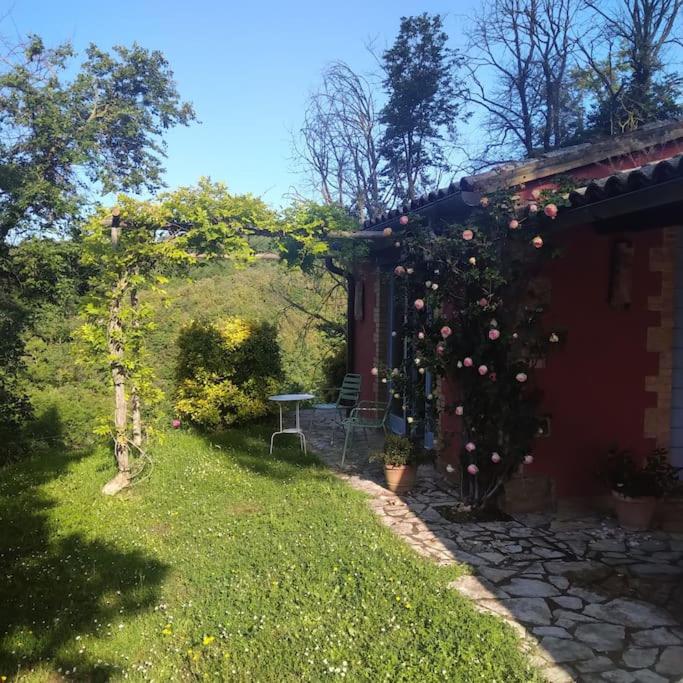 Photo 23