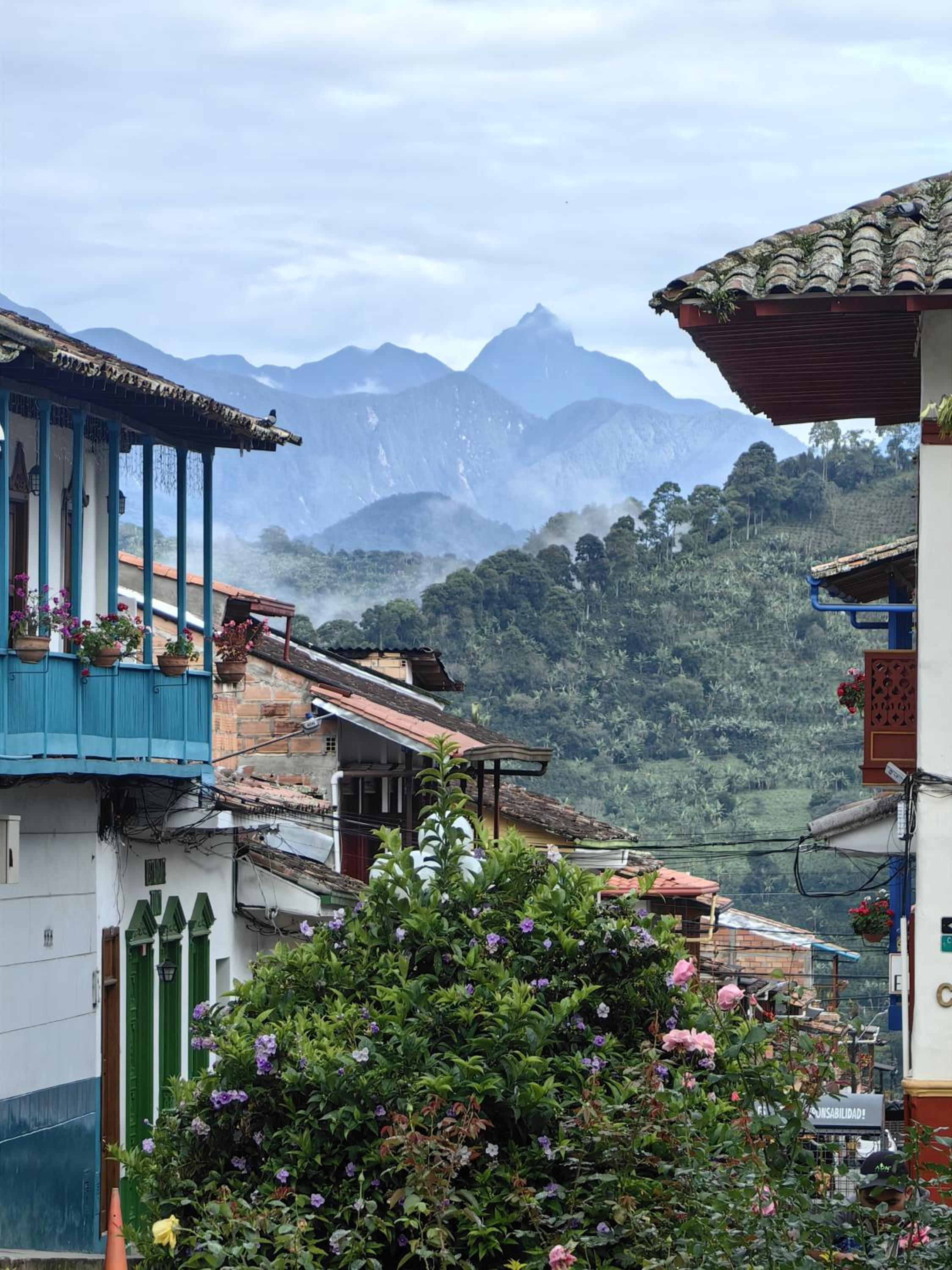 Hotel Colonial