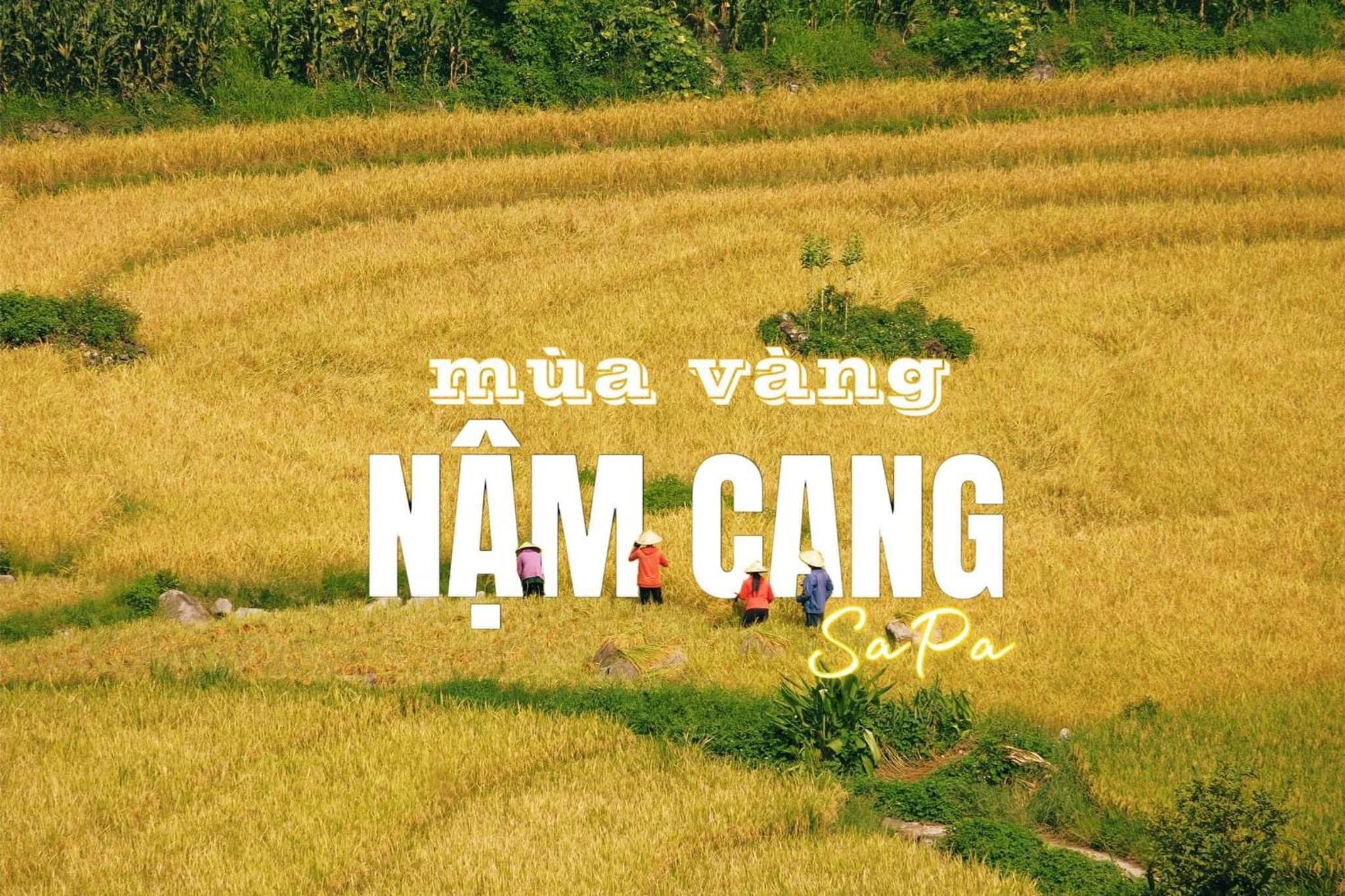 Tả Mẩy Homestay view 4