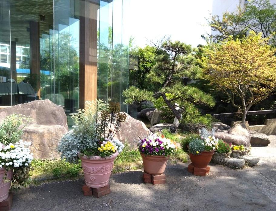 Hotel Hatta