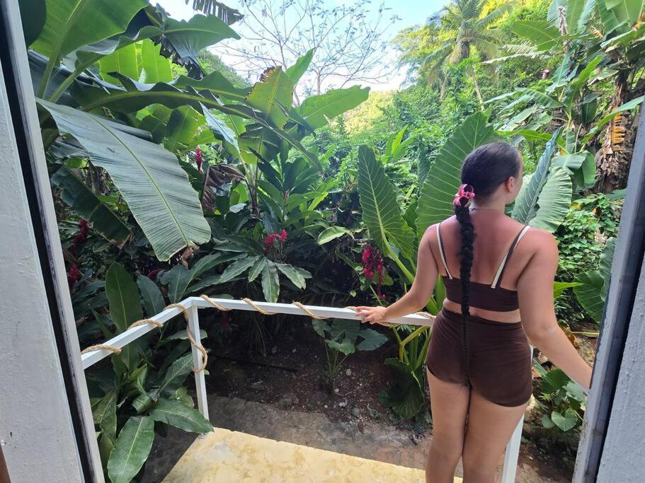 Jungle Rooftop Villa, near beach