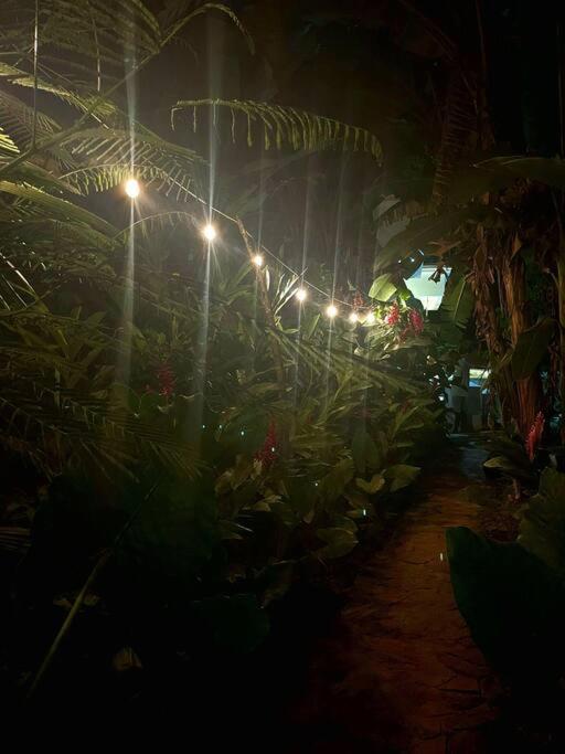 Jungle Rooftop Villa, near beach