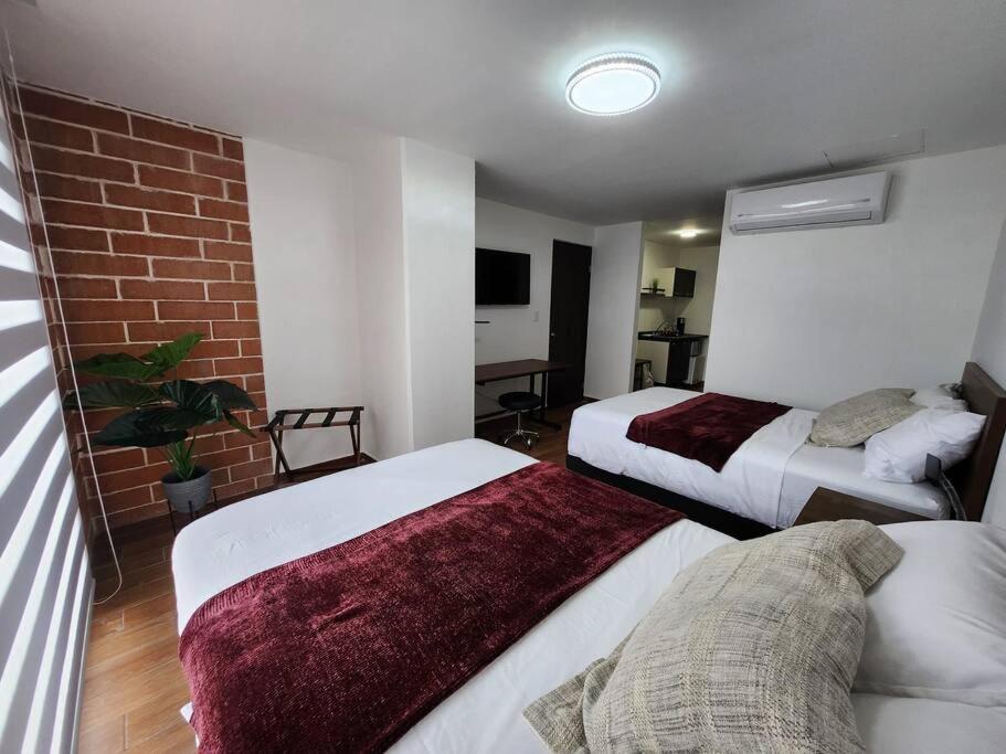 Estilo Loft en Barrio Antiguo view 3