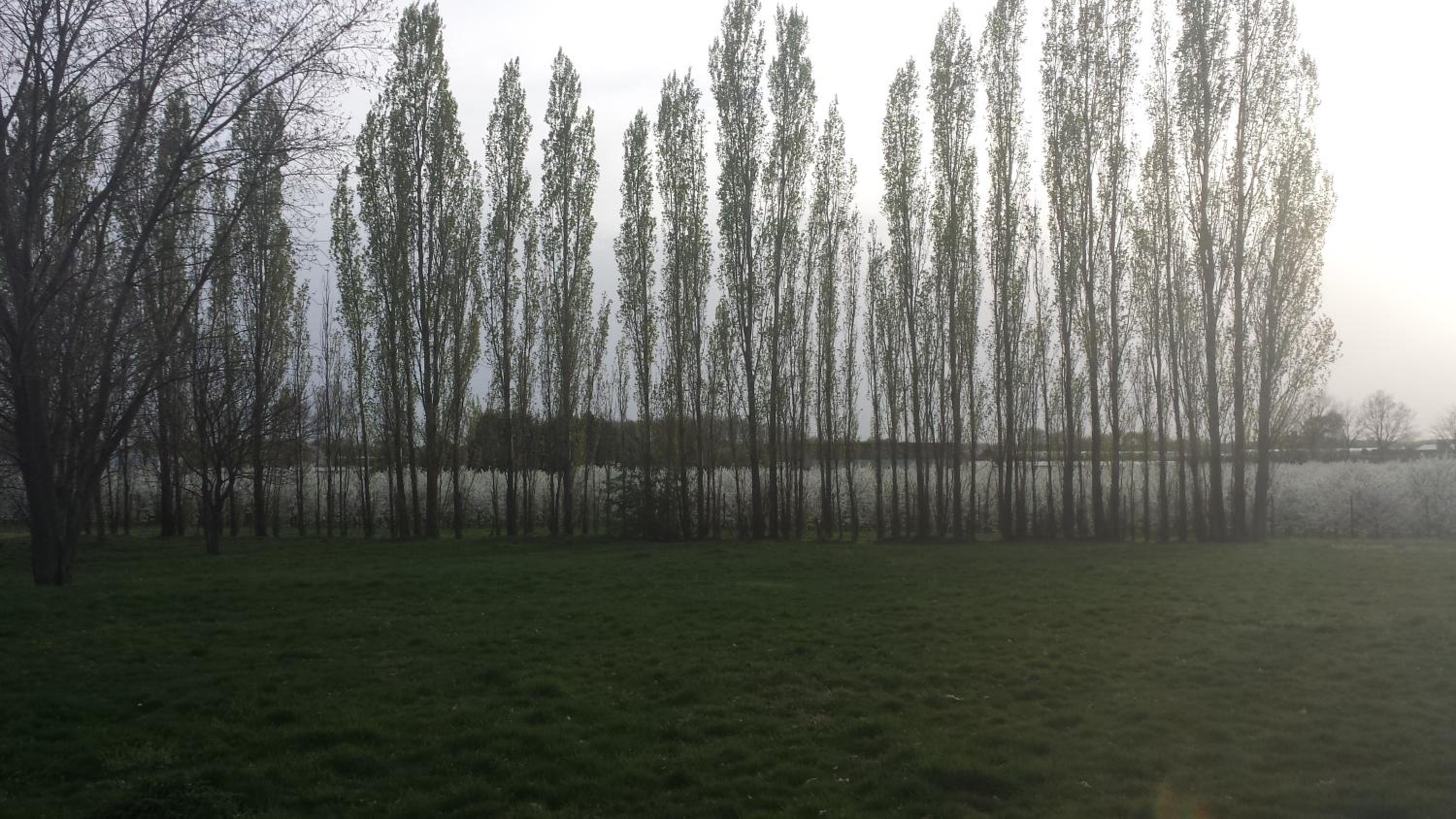 B&B Johannes-Hoeve