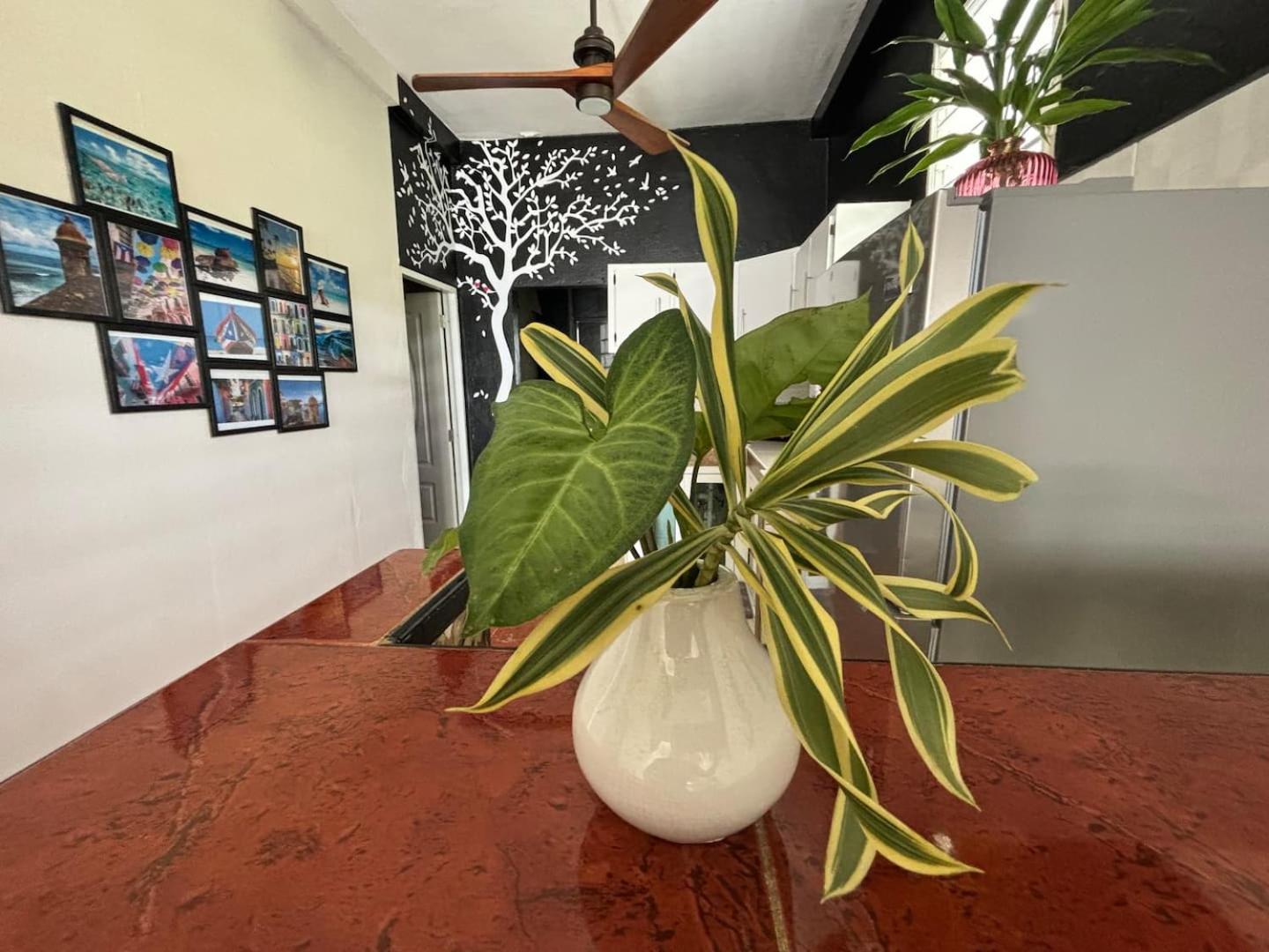 SALO-Casa Verde 4 Bdrm House by Stay Here PR
