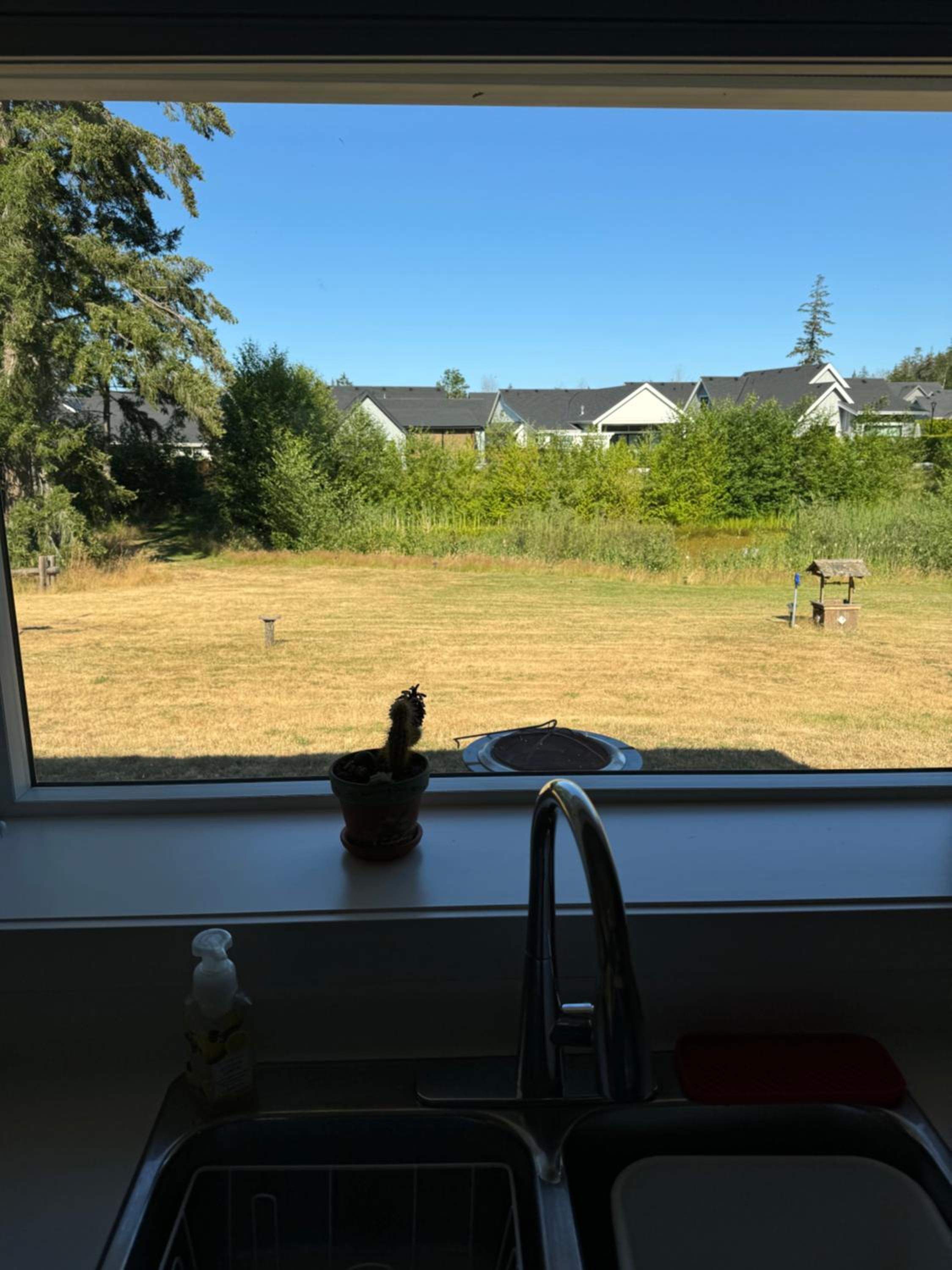 Pond view at Claymore