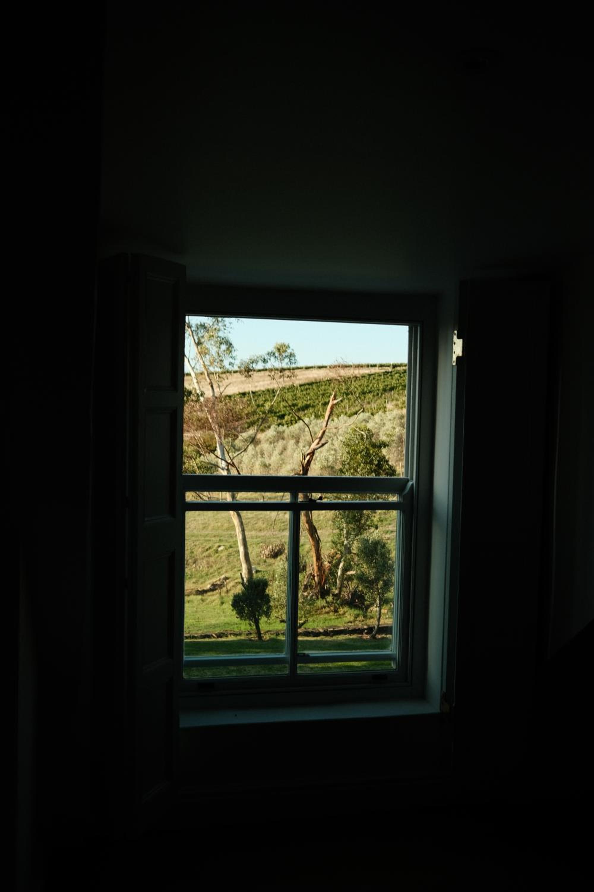 Photo 39