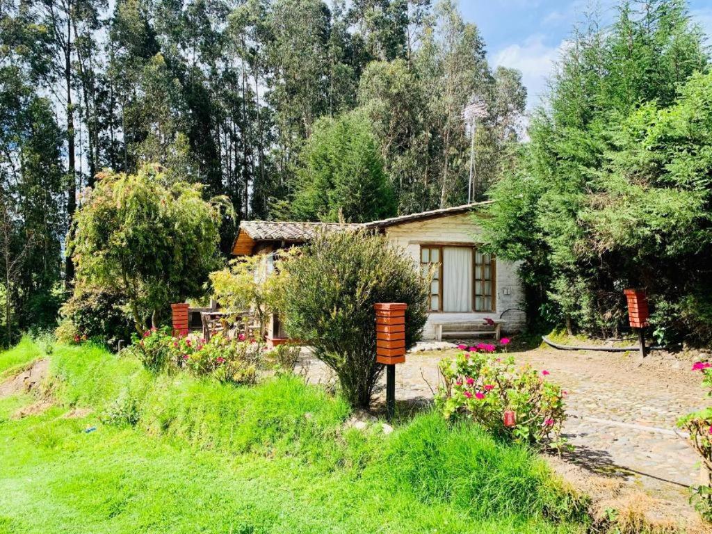 Cabaña La Tola