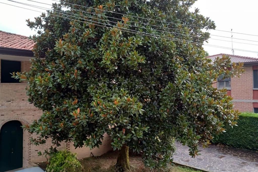 Il Granaio letterario