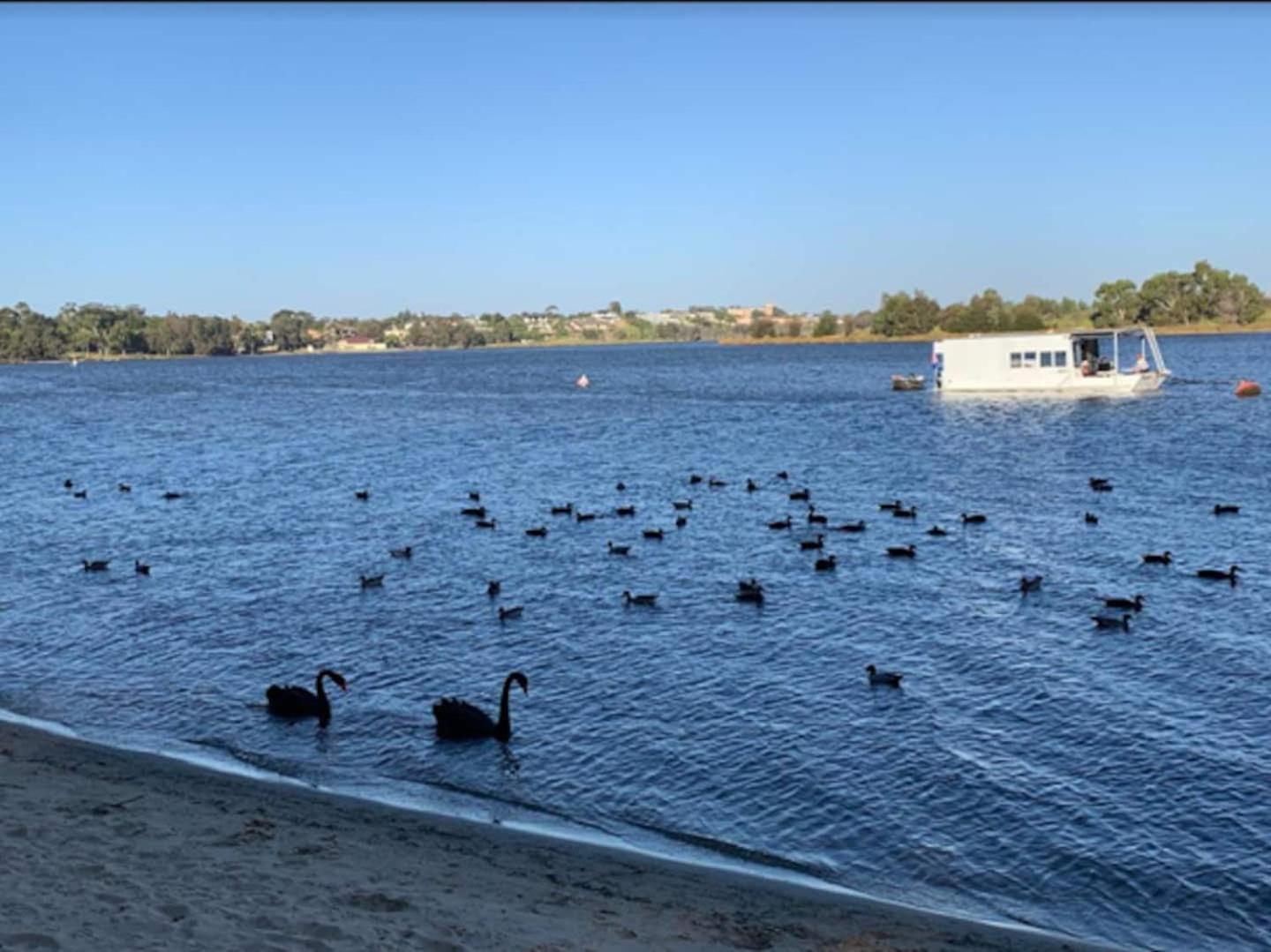 Urban Oasis Townhouse East Perth