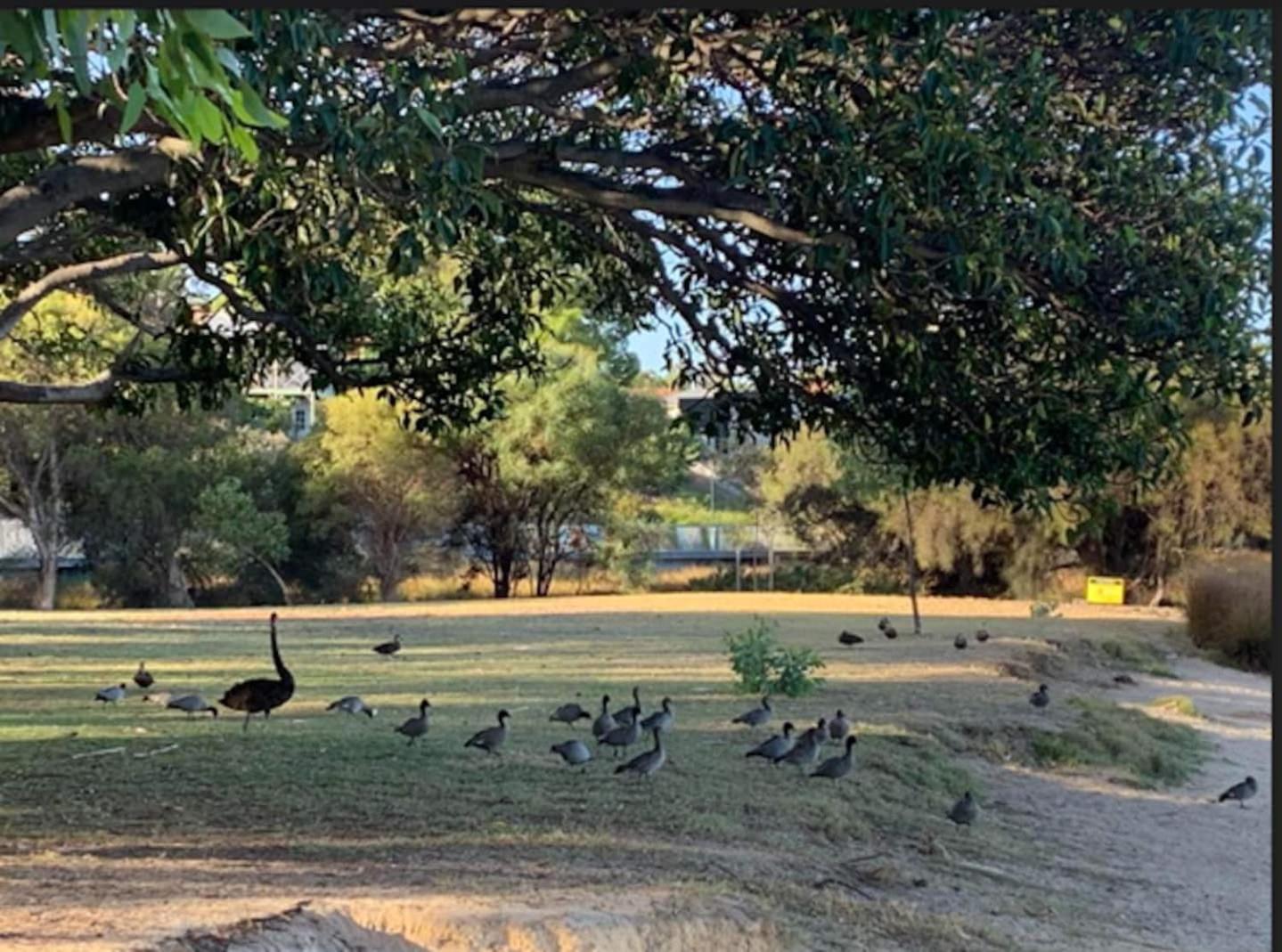 Your Tranquil Haven in East Perth