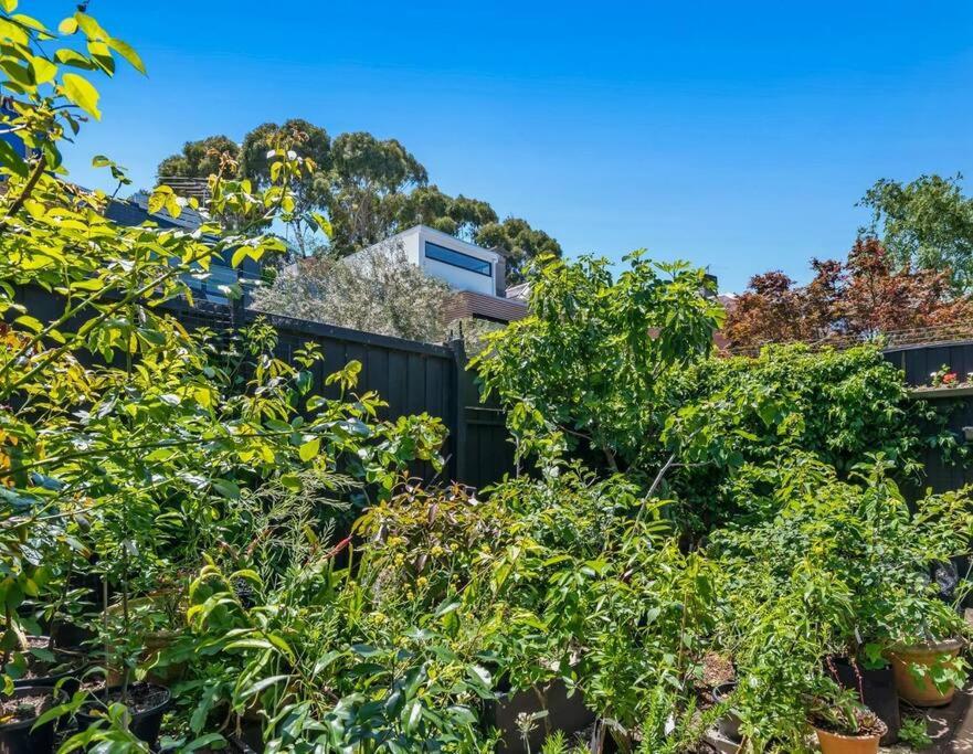 A1 Architectural Sth Melb Home Sleeps 4 Martin