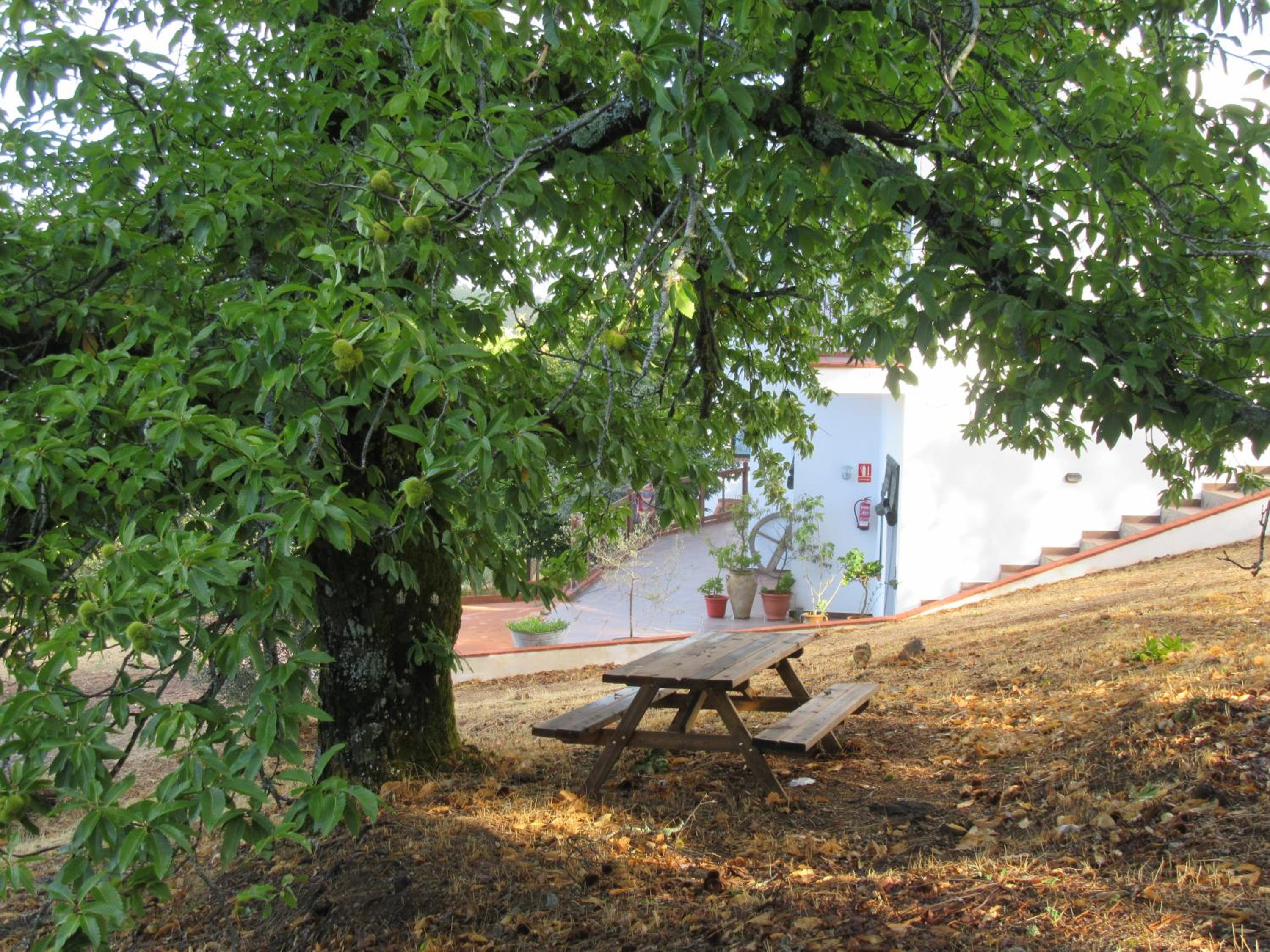 Alojamiento Rural Camino Beturia