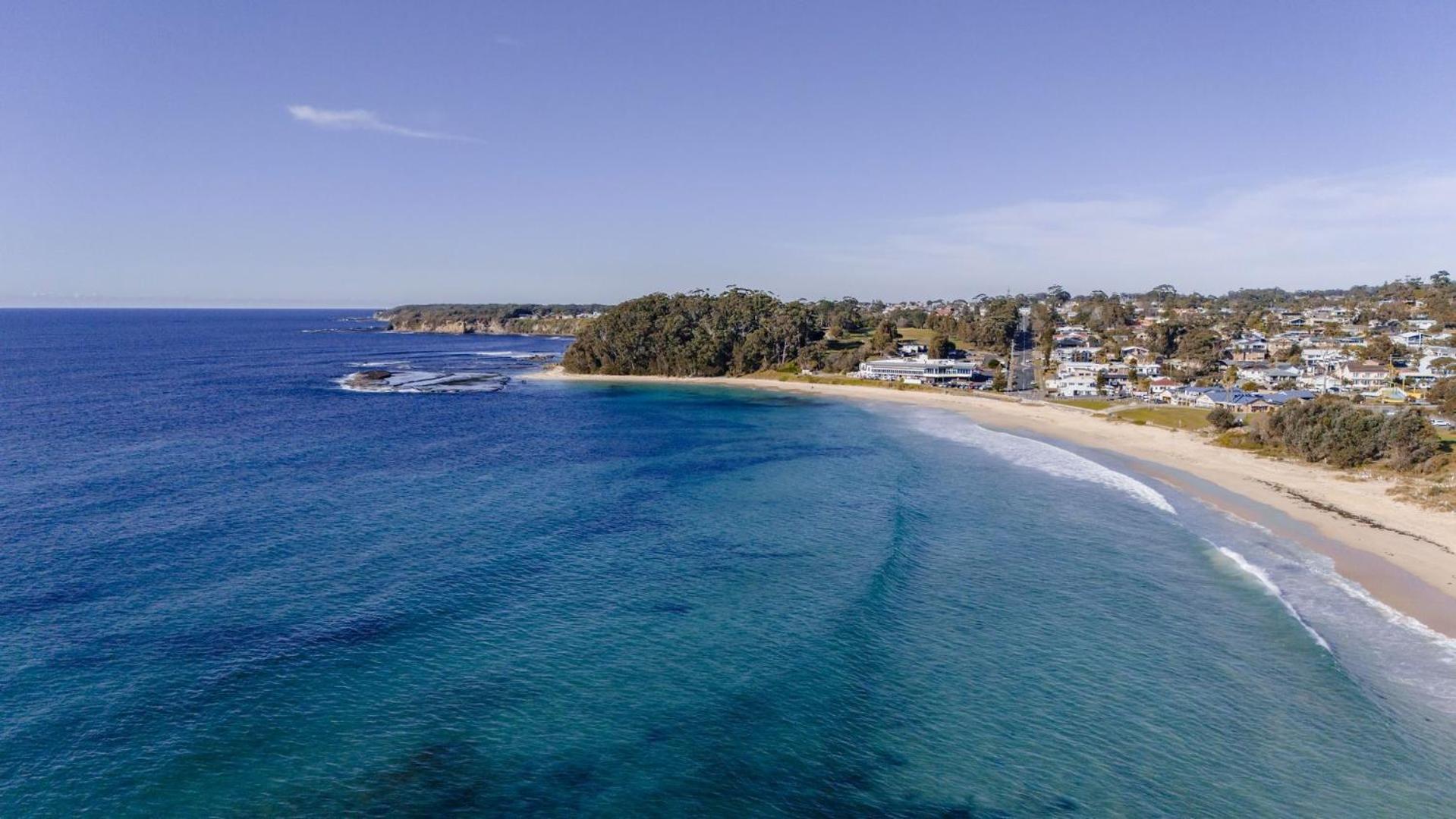 Pandanas 17B at Mollymook Beach