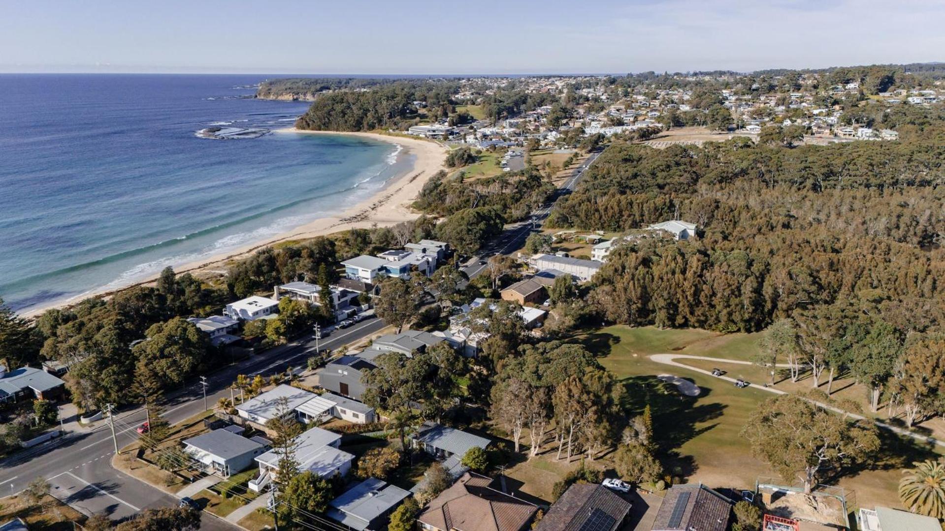 Pandanas 17B at Mollymook Beach