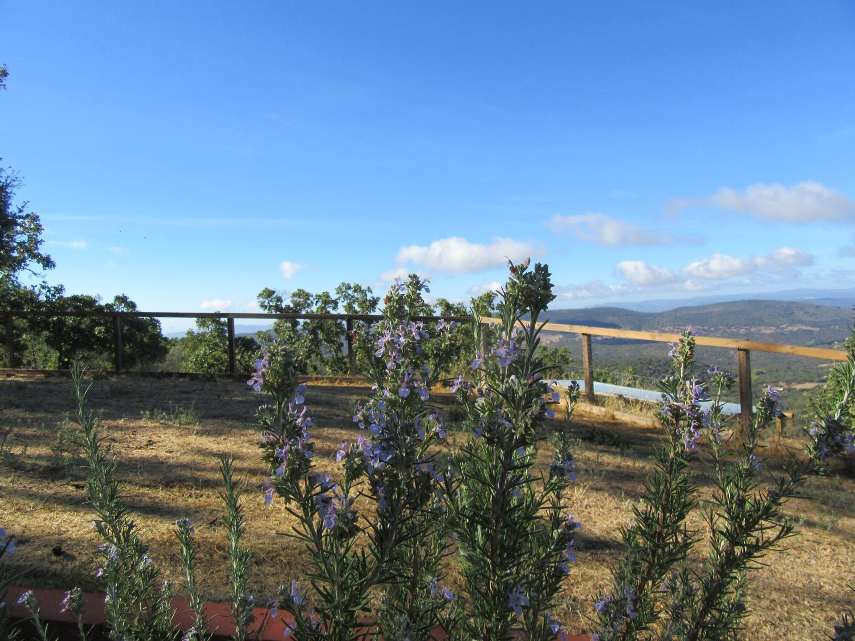 Alojamiento Rural Camino Beturia
