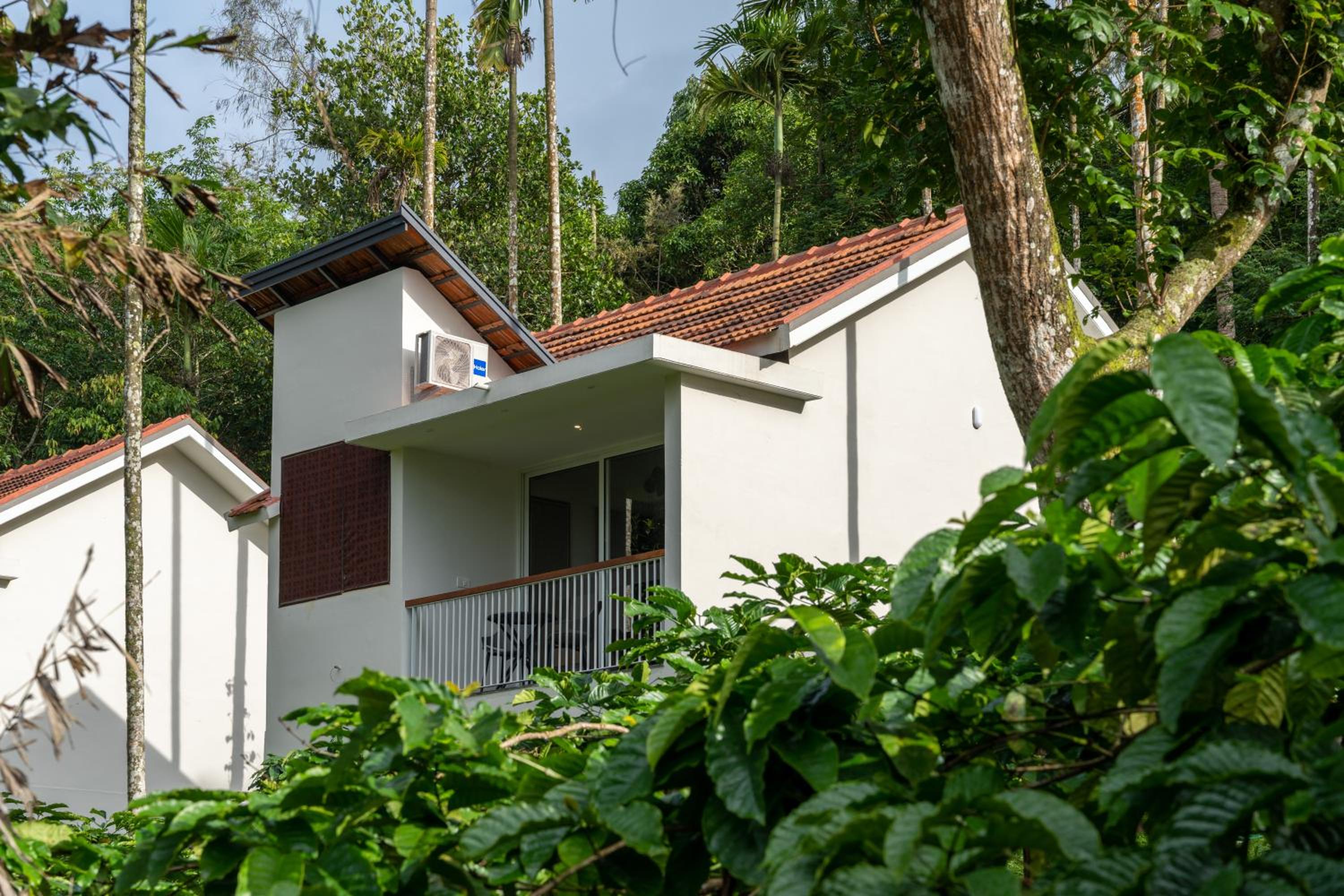 Theyila Wayanad Premium Pool Resort