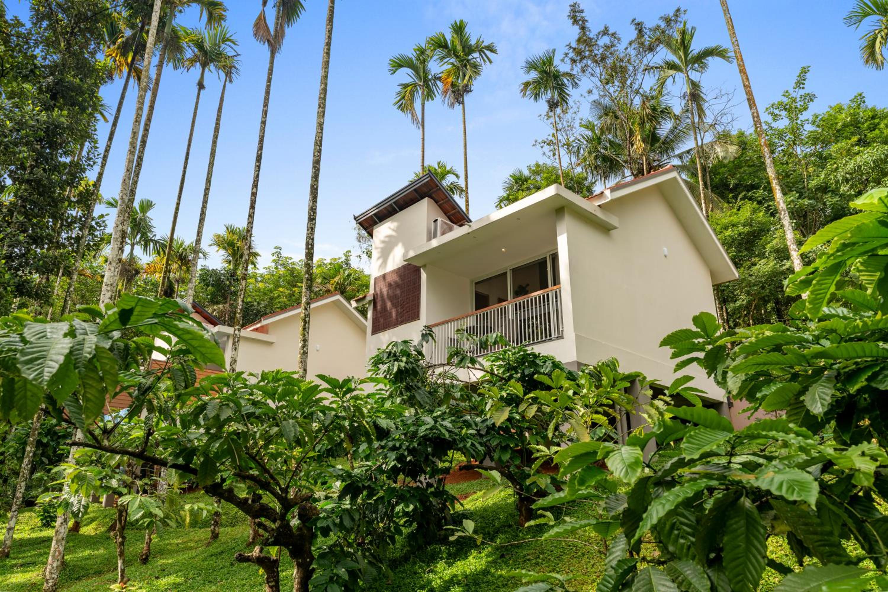 Theyila Wayanad Premium Pool Resort