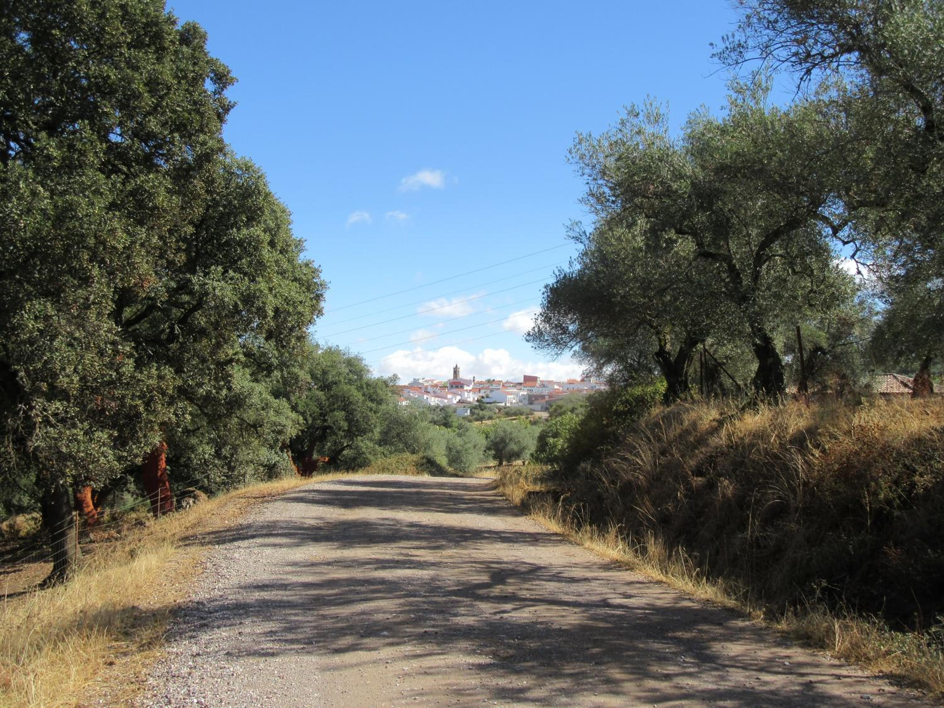 Alojamiento Rural Camino Beturia