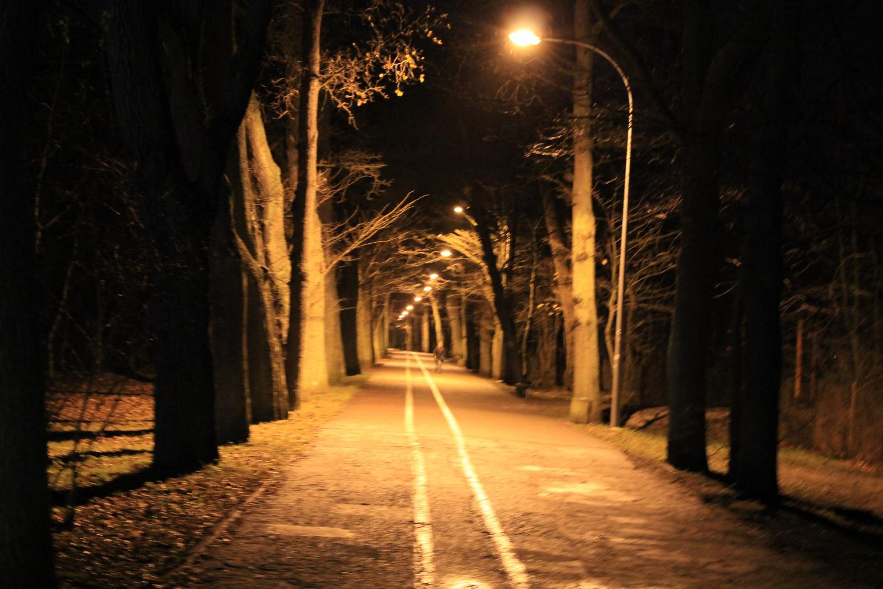 Photo 45