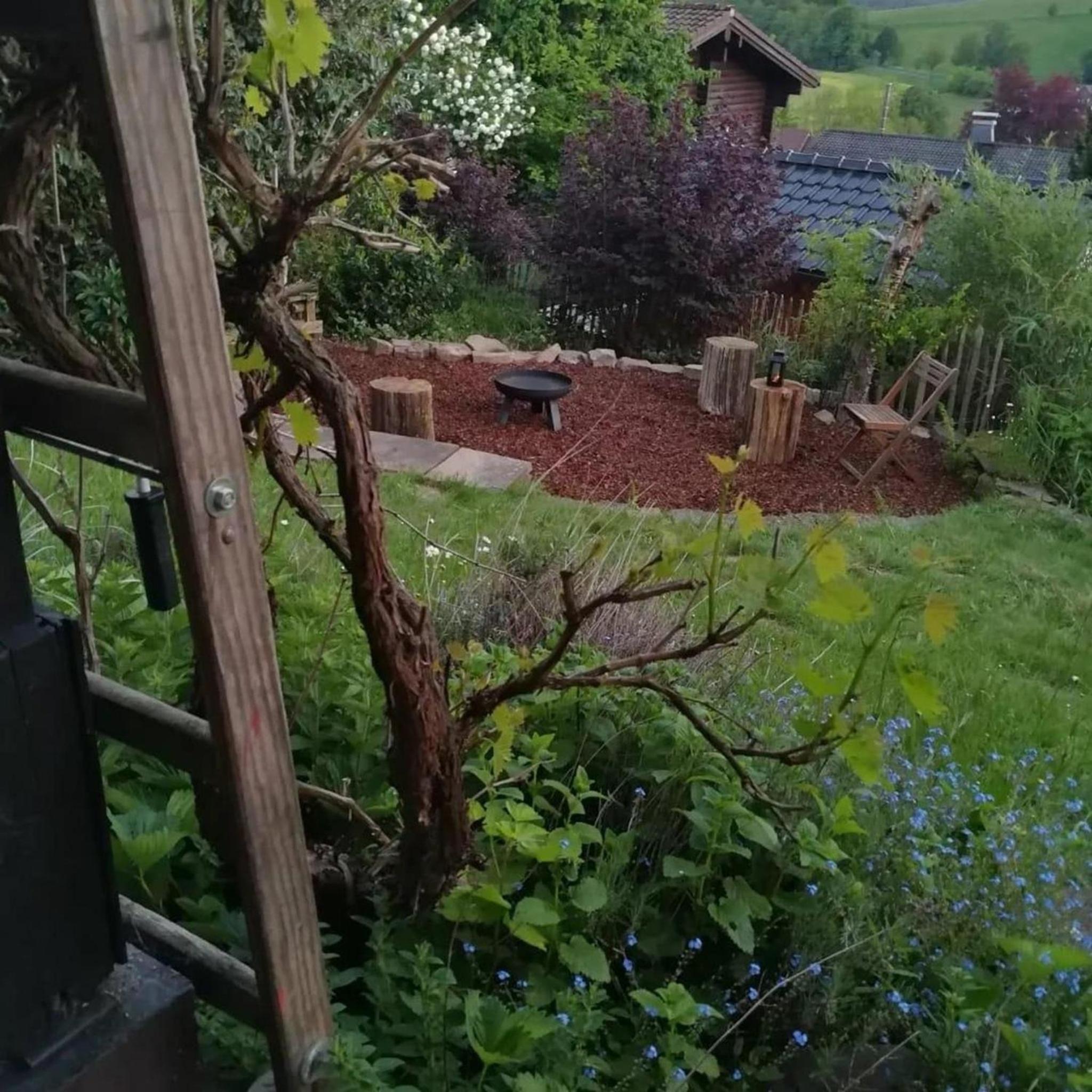 Ferienhaus Mountainside