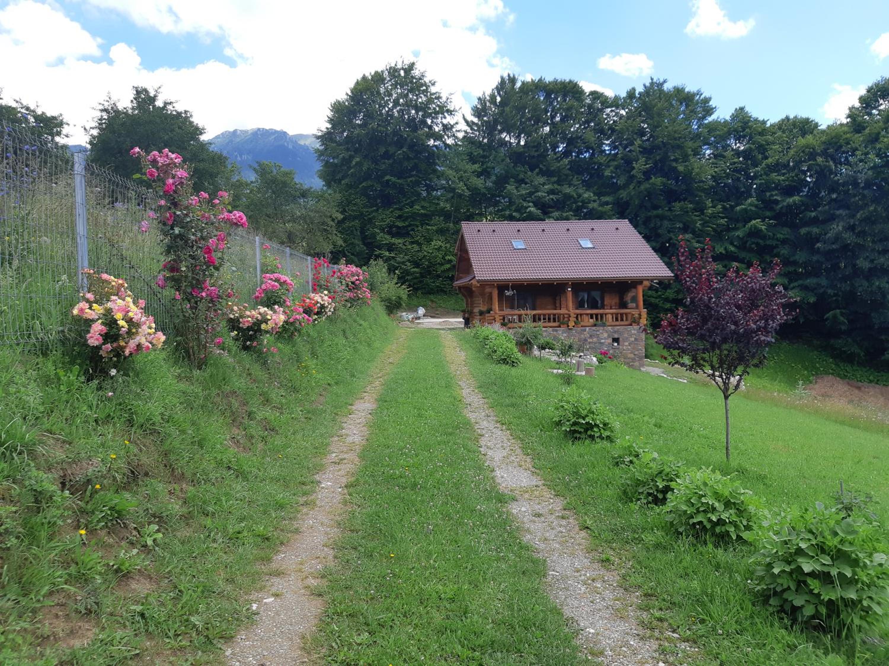 Photo 10