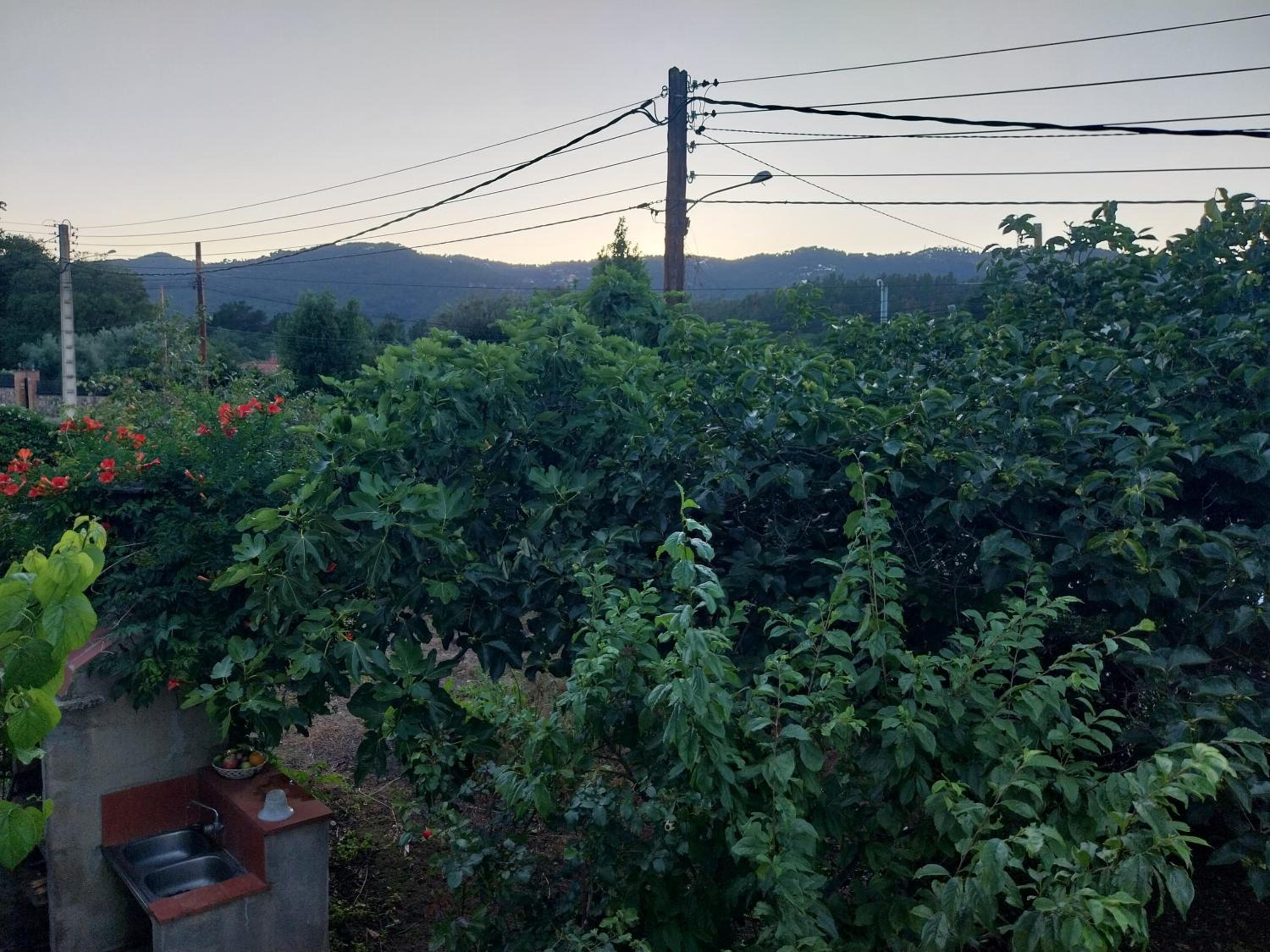 El jardín de Dora Chalet a 10 minutos de Blanes view 4
