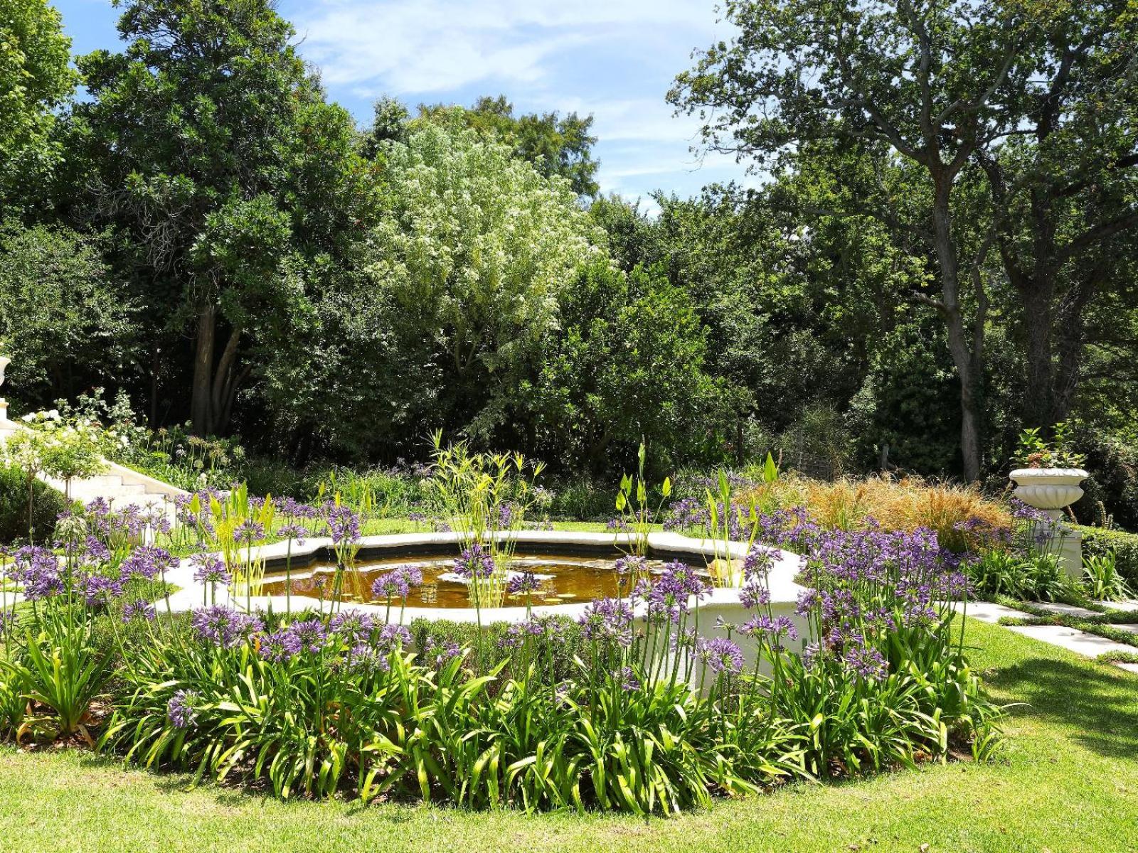 Constantia Klein view 4
