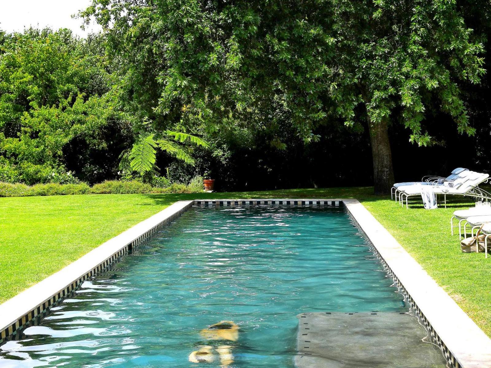 Constantia Klein view 3