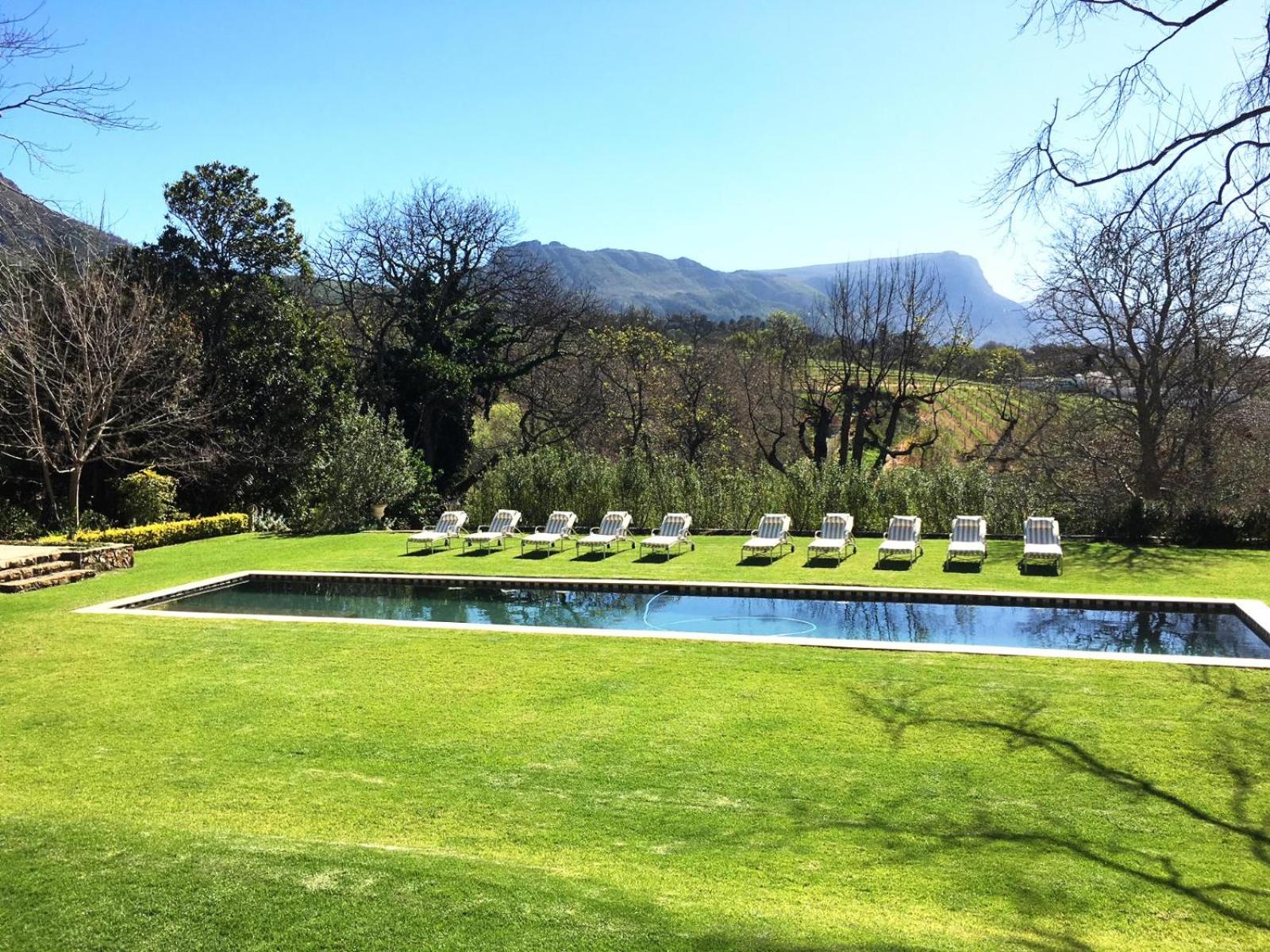 Constantia Klein view 2