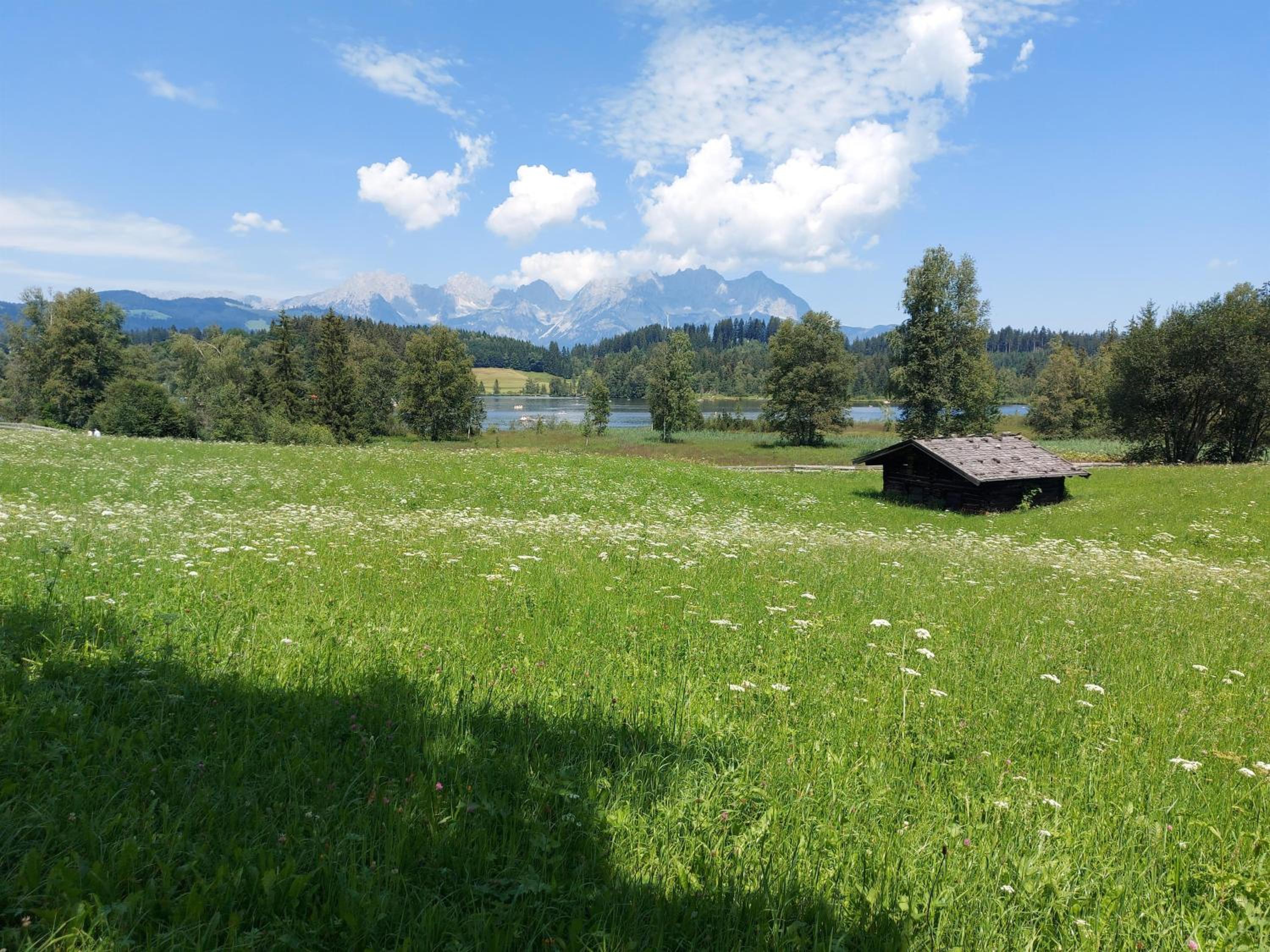 Gartenwohnung Ritter