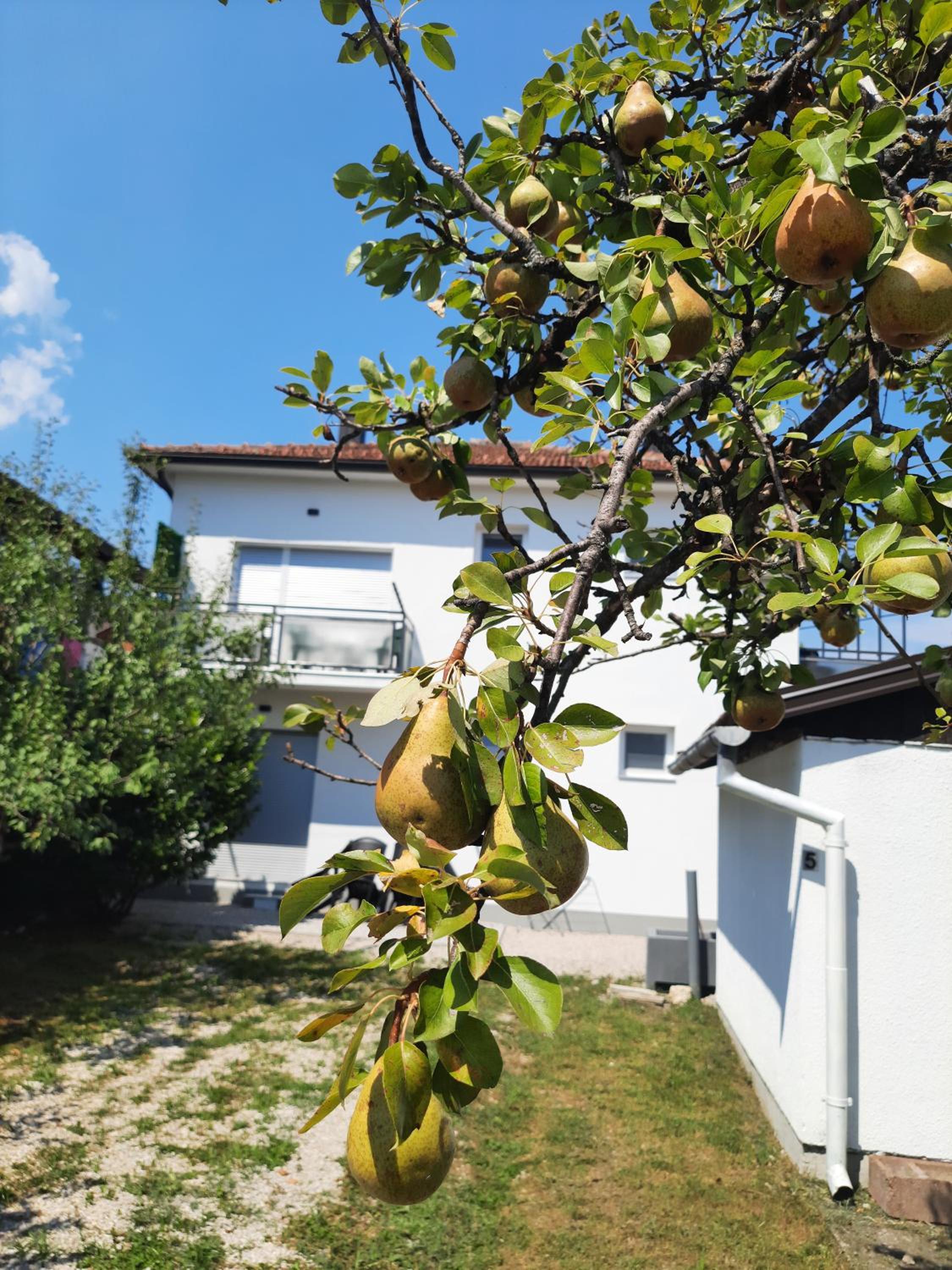 Apartments White House Bihac