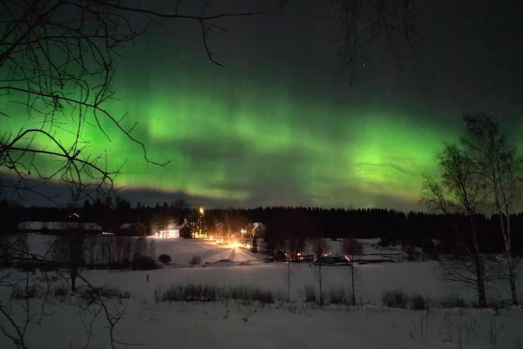 Lomahuvila Liljevikin Lahti