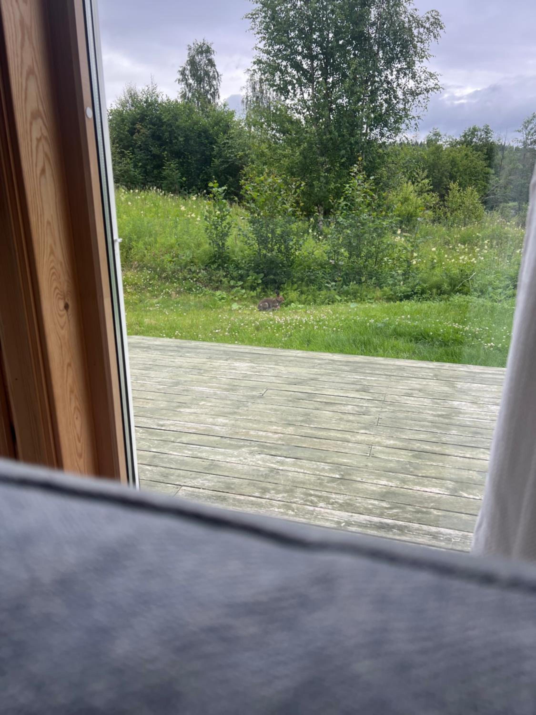 Photo 31