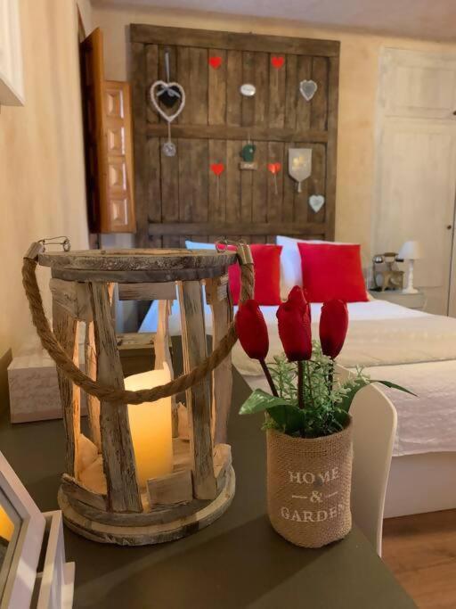 Luxury Danna Plaza Mayor