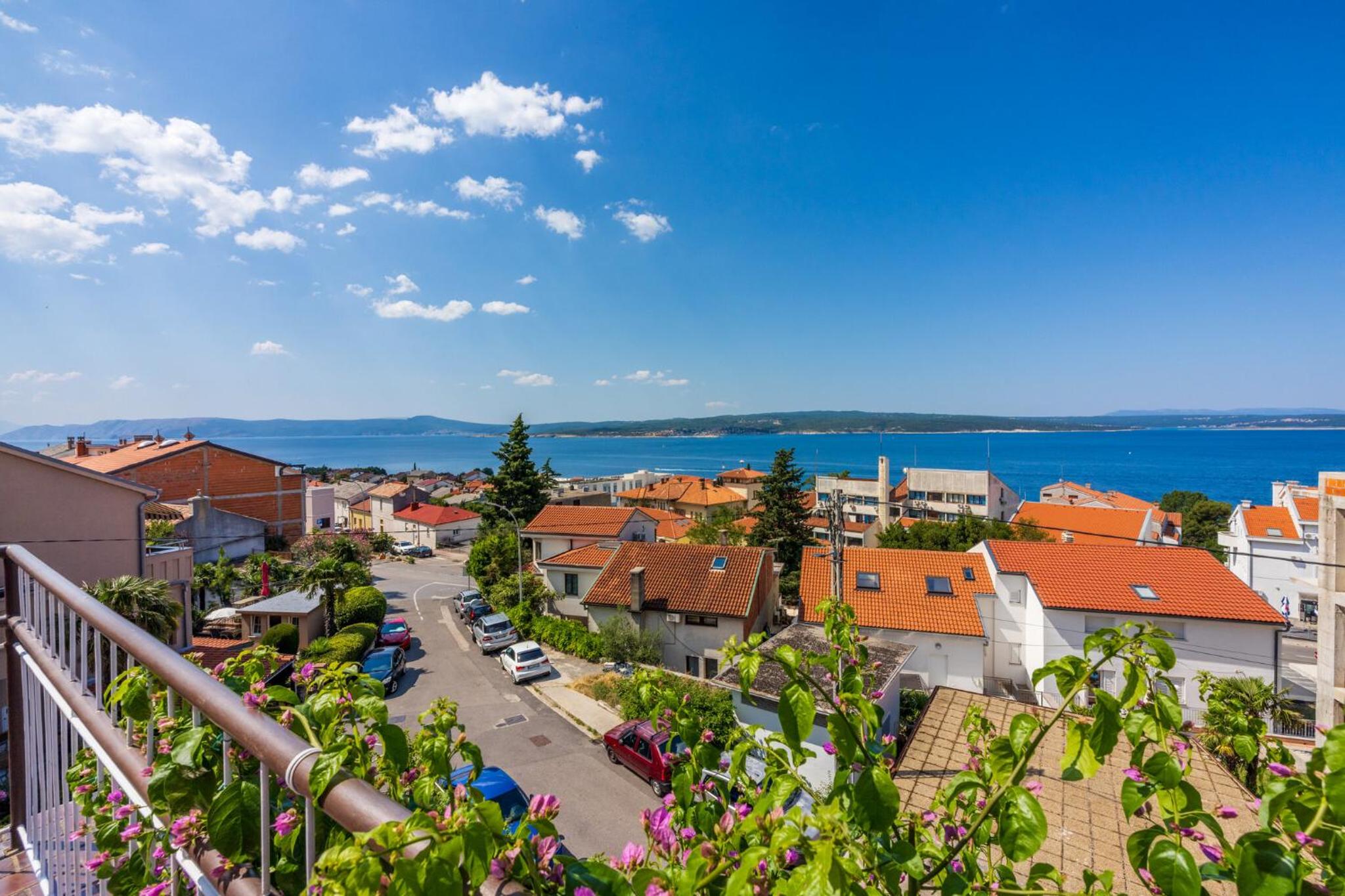 Bugenvilija