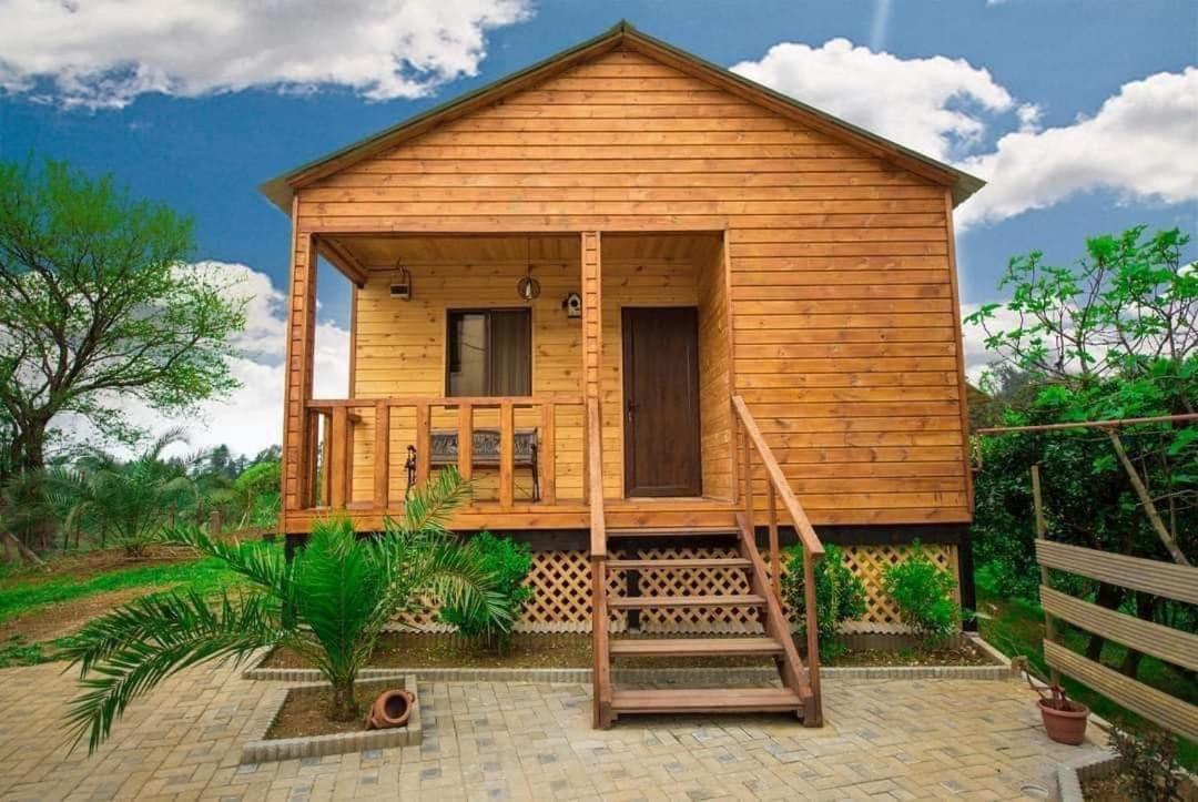 Wooden House