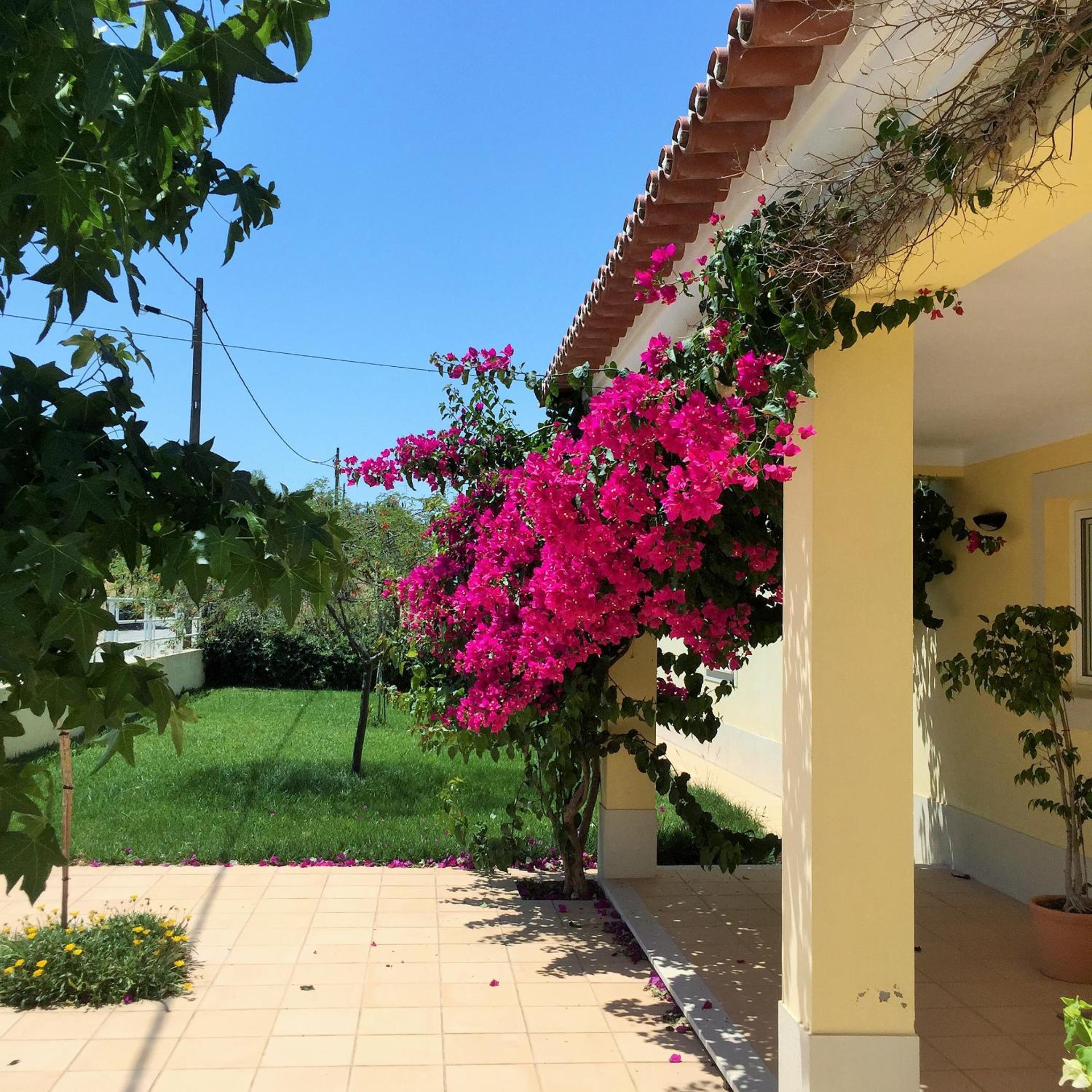Pôr-do-sol Villa view 5