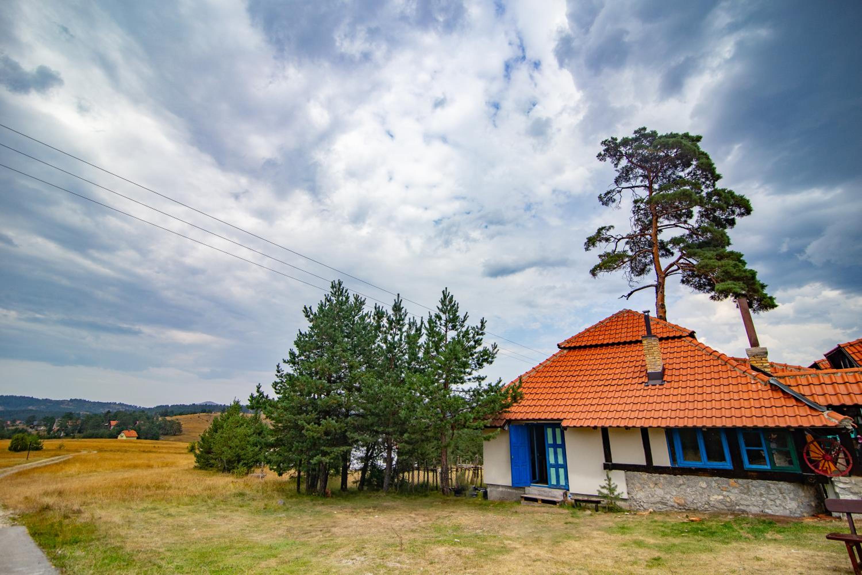 U Drvo Zlatibor - Vodice view 2