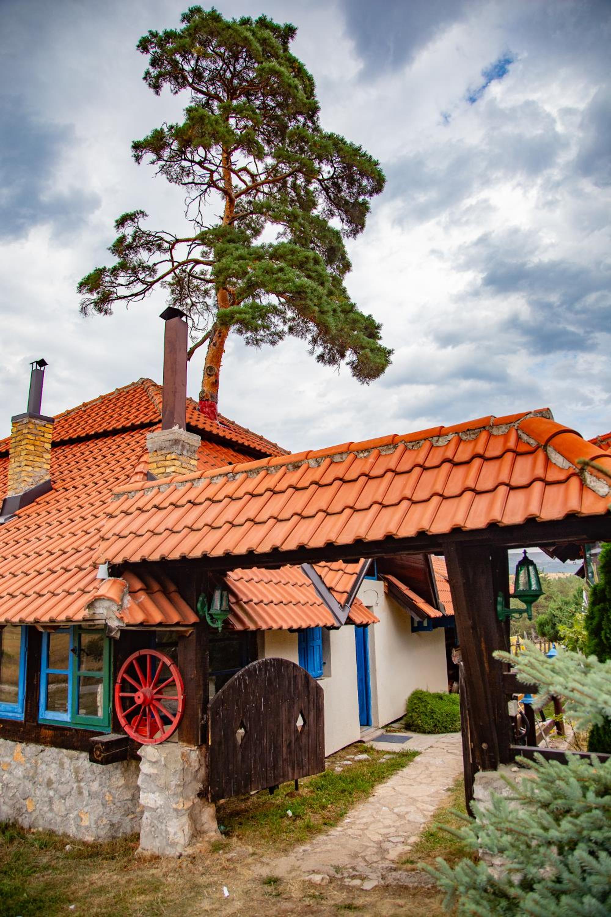 U Drvo Zlatibor - Vodice view 4